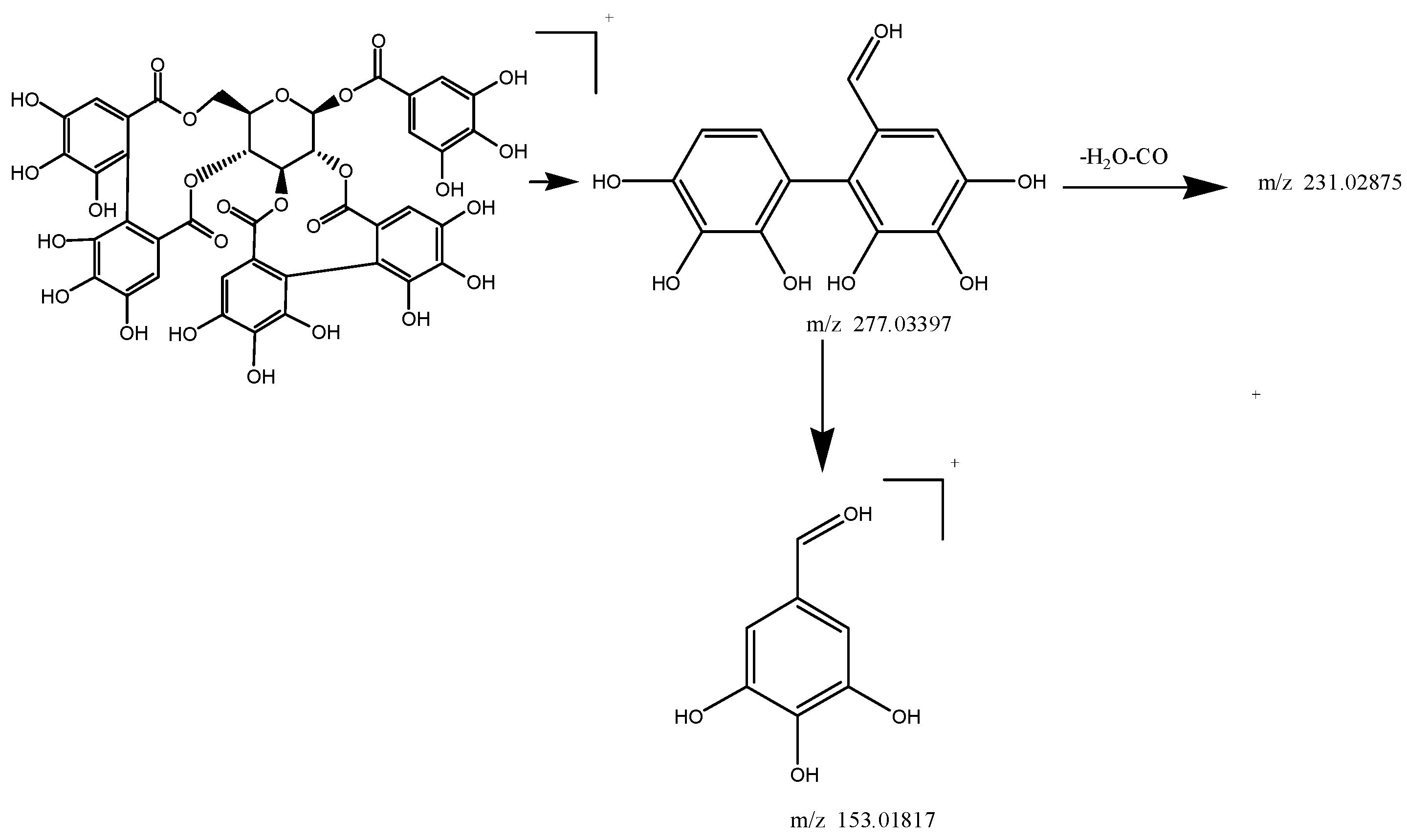 Molecules 22 00476 g007