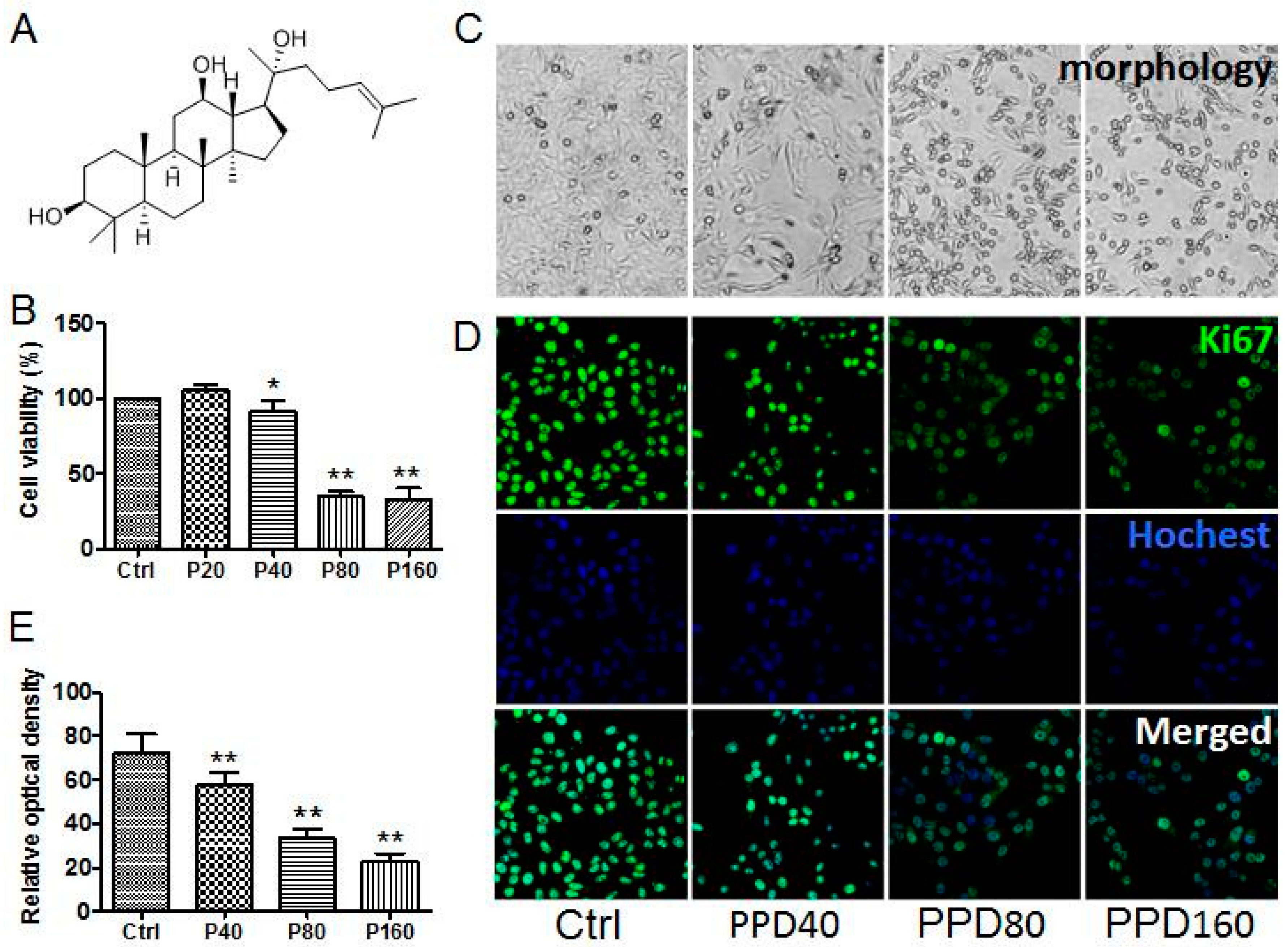 Molecules 22 00486 g001