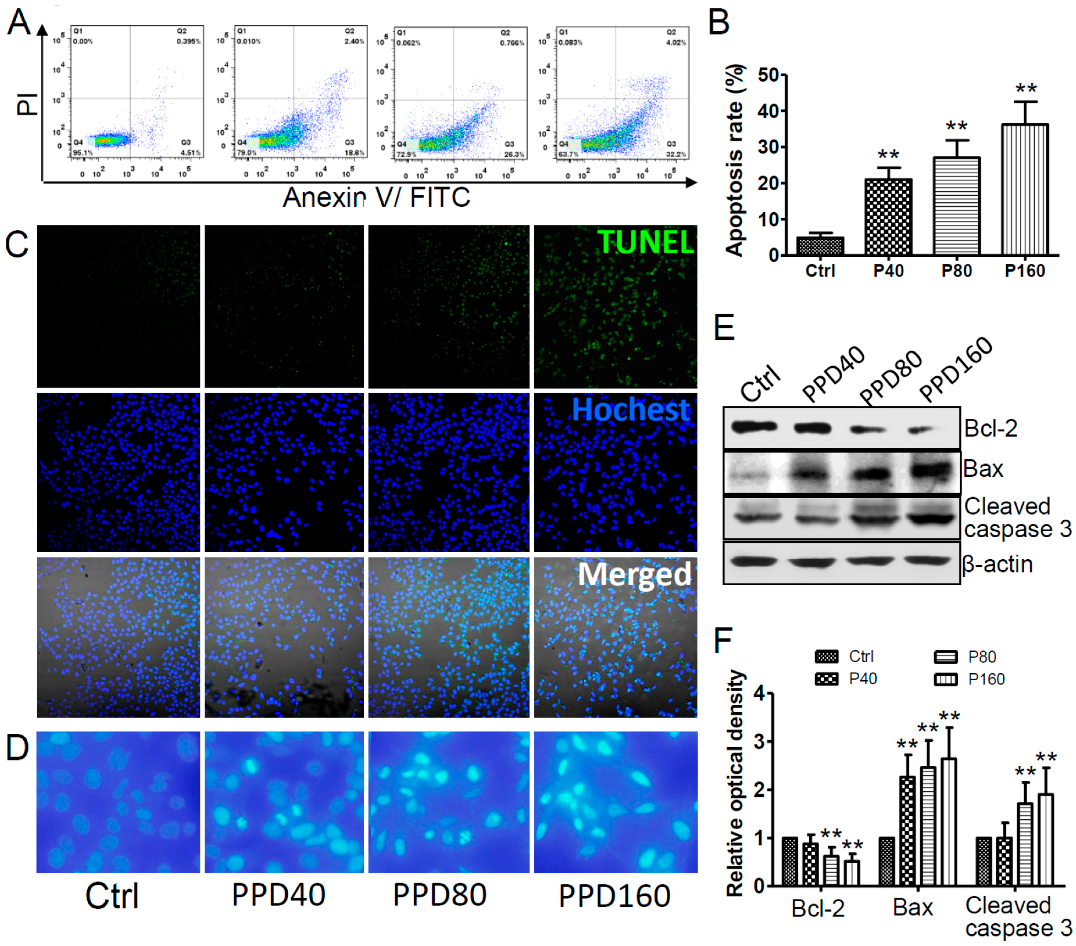 Molecules 22 00486 g003