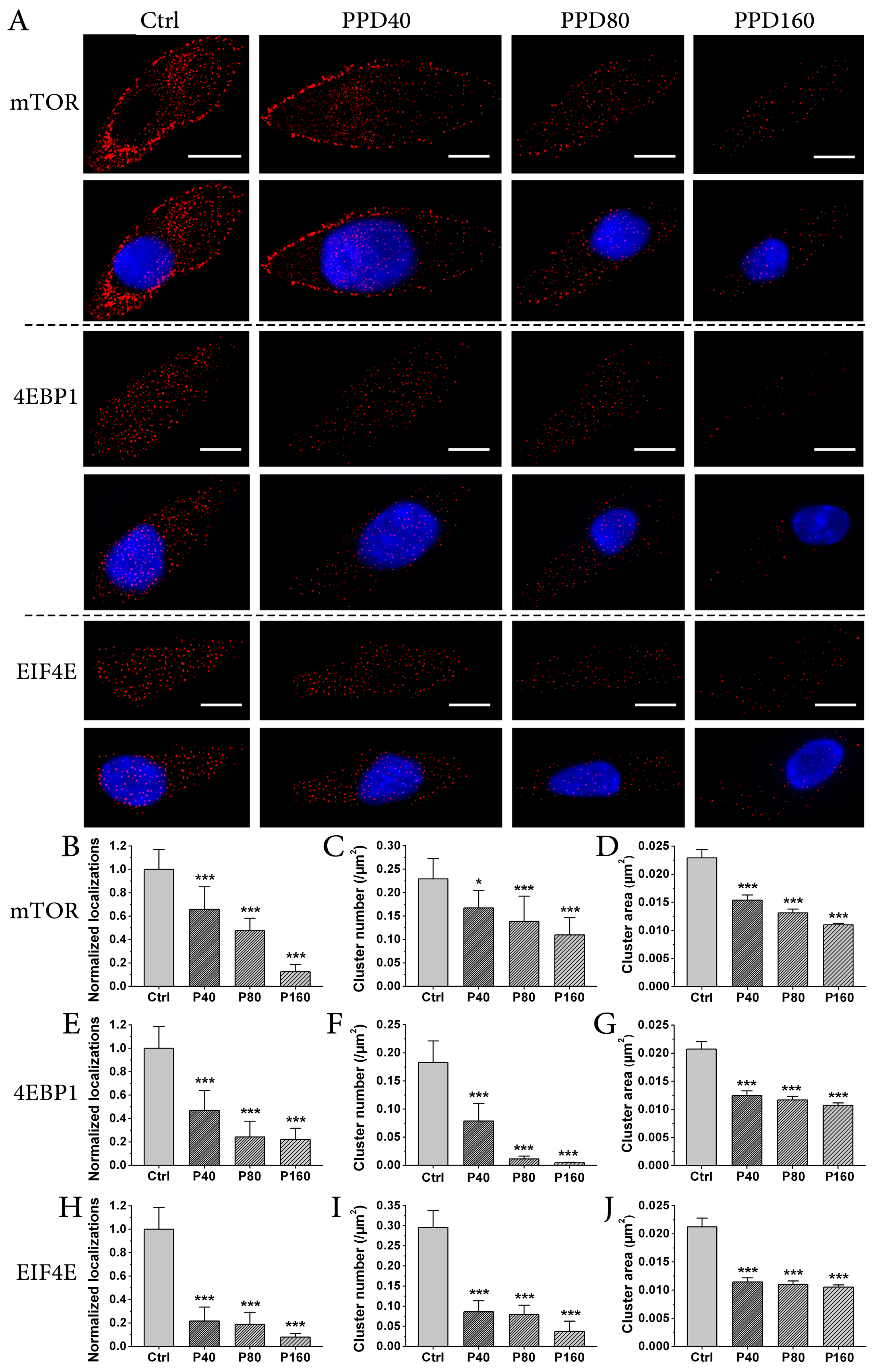 Molecules 22 00486 g005