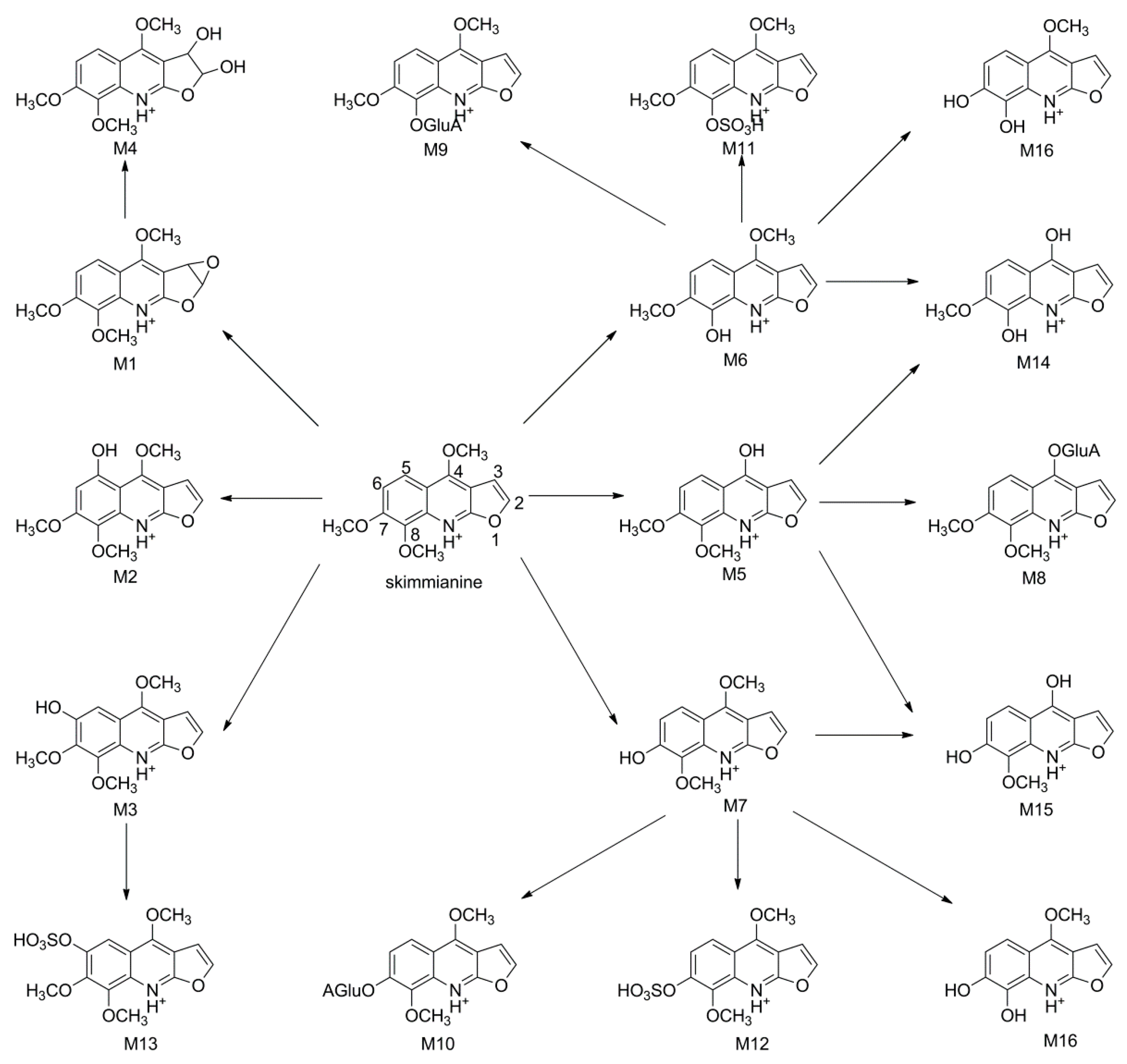 Molecules 22 00489 g004