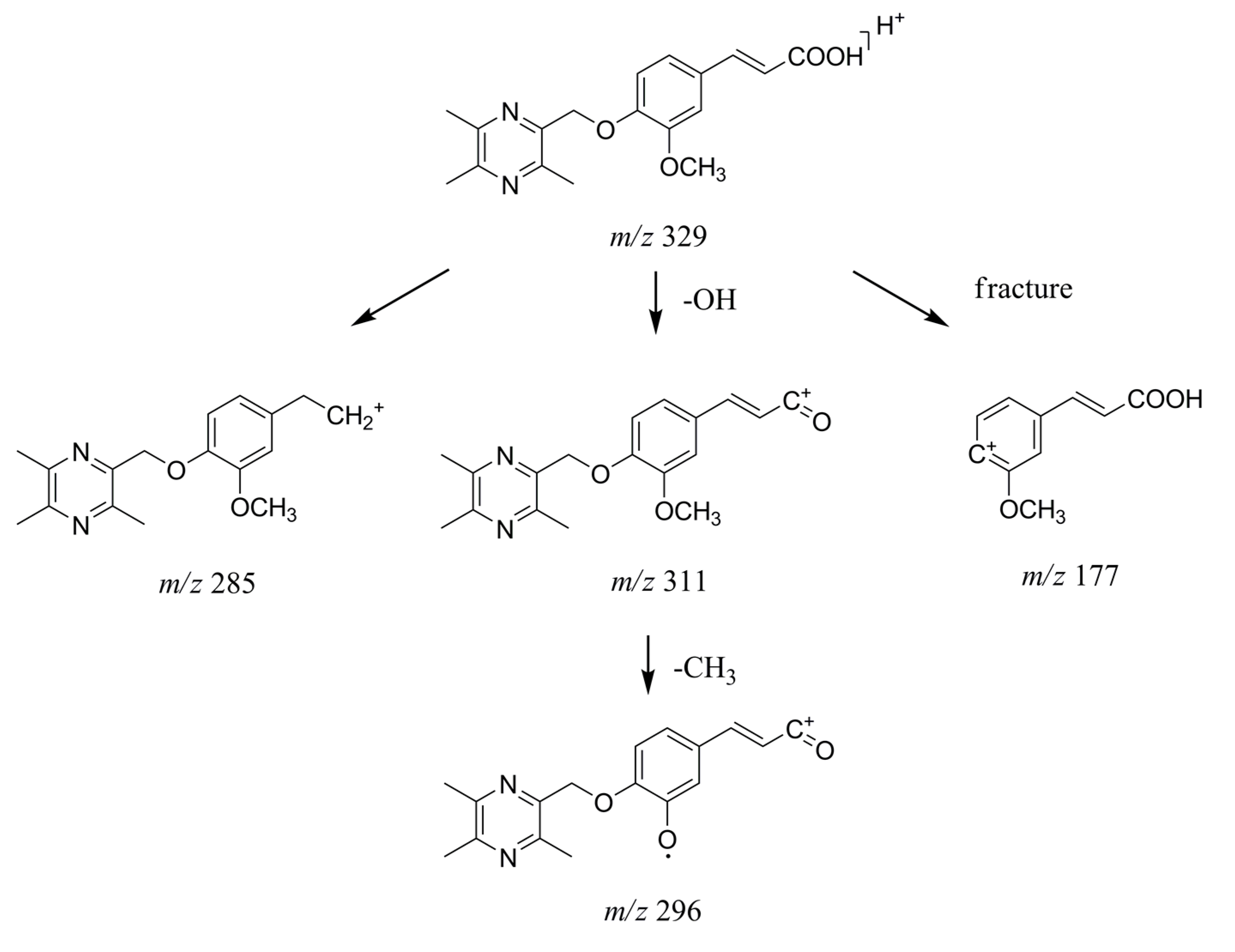 Molecules 22 00494 g004