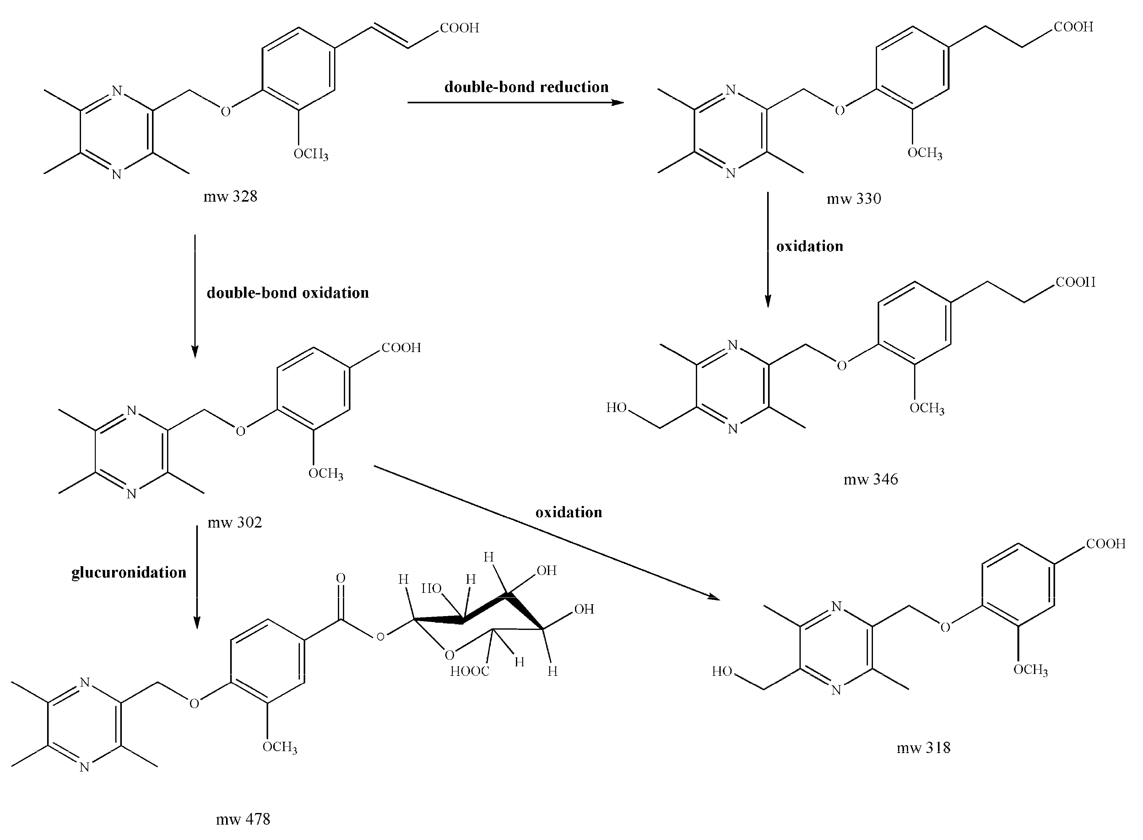 Molecules 22 00494 g005