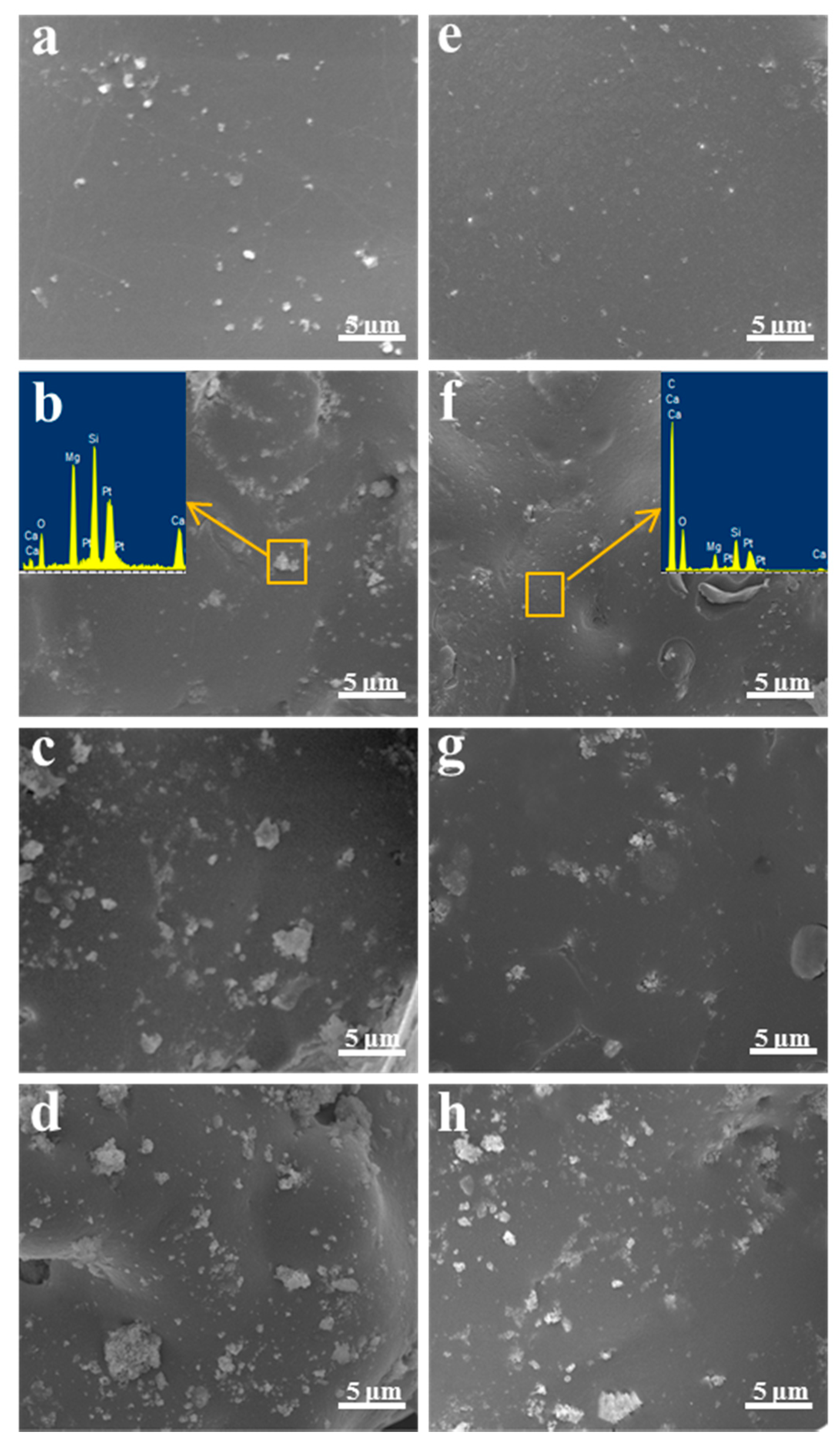 Molecules 22 00511 g003