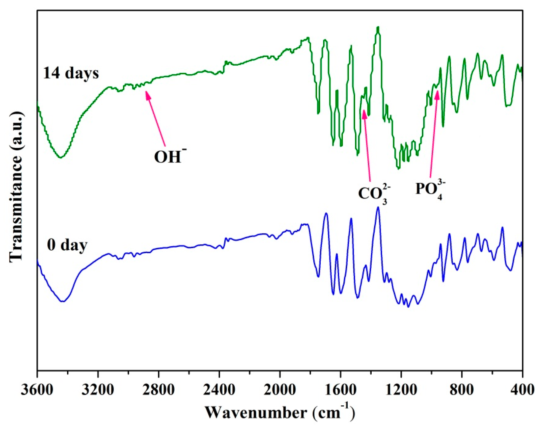 Molecules 22 00511 g007
