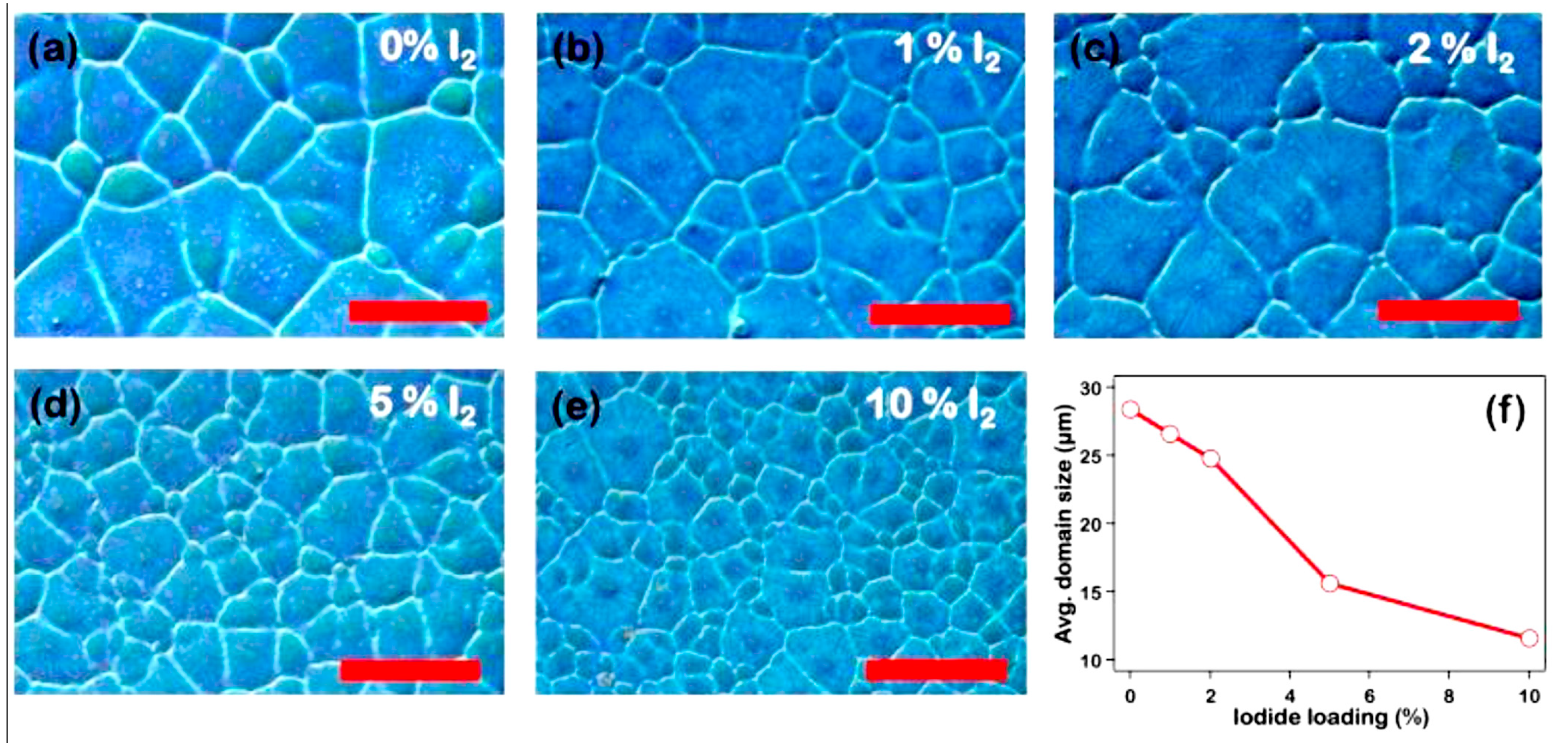 Molecules 22 00520 g011