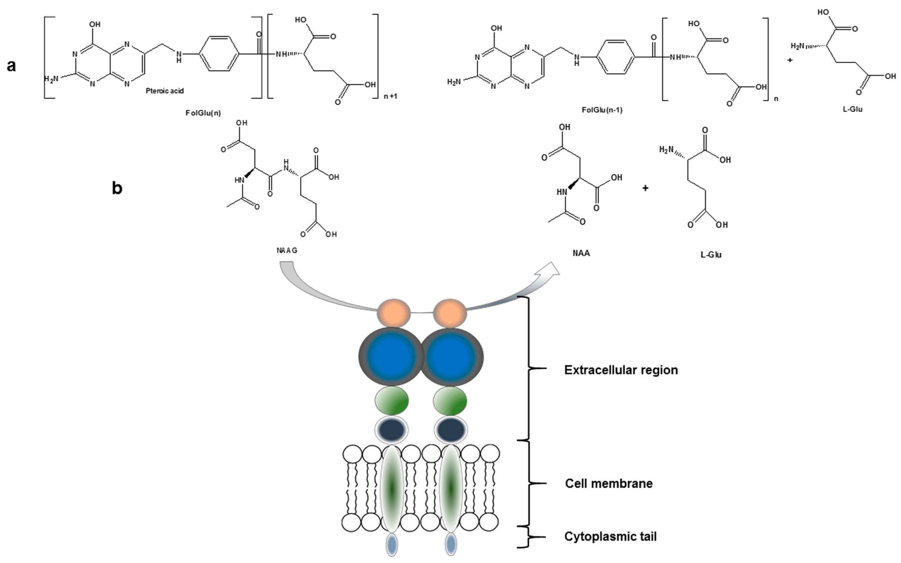 Molecules 22 00523 g001