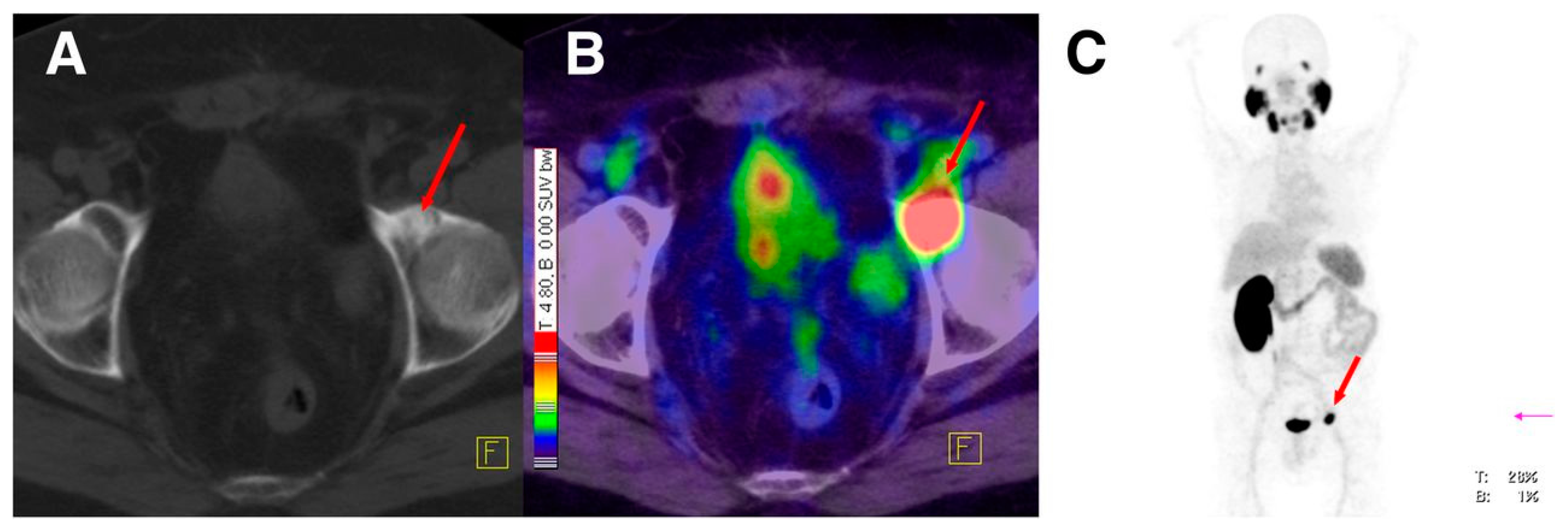 Molecules 22 00523 g020