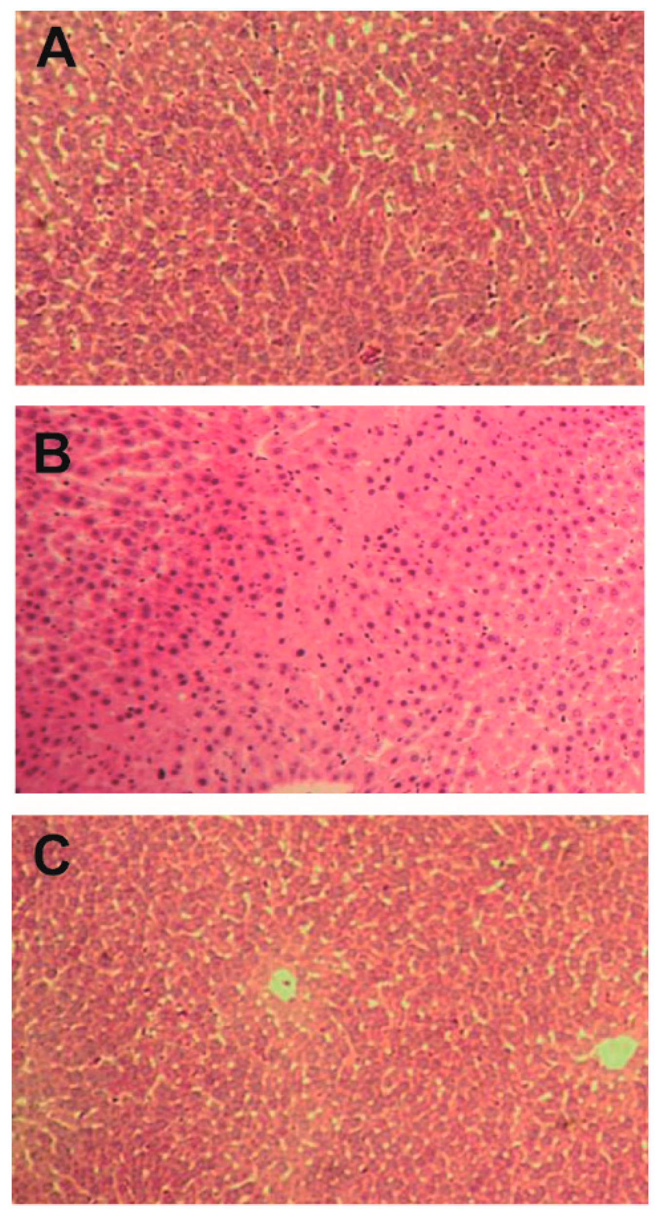 Molecules 22 00524 g003