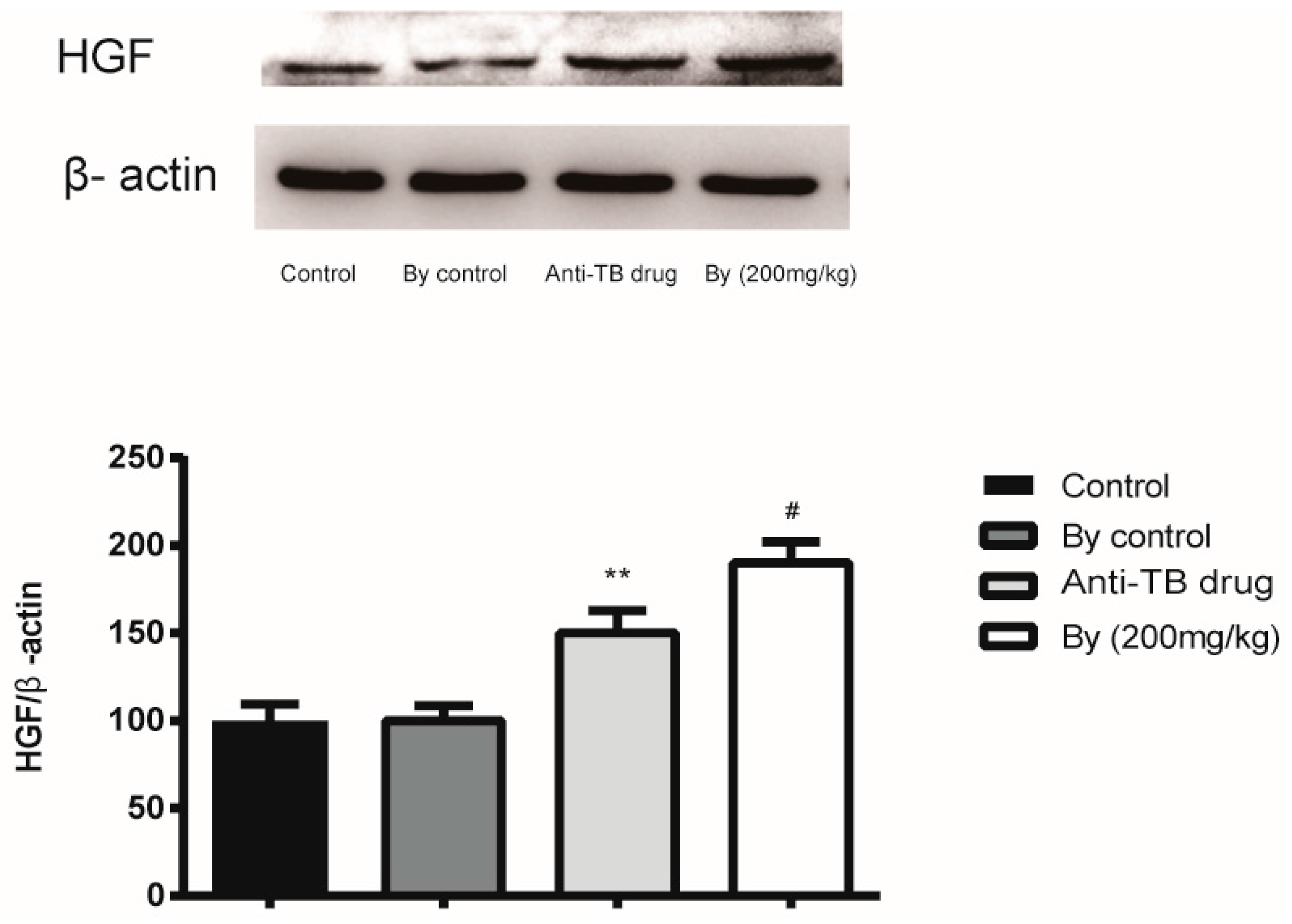 Molecules 22 00524 g008