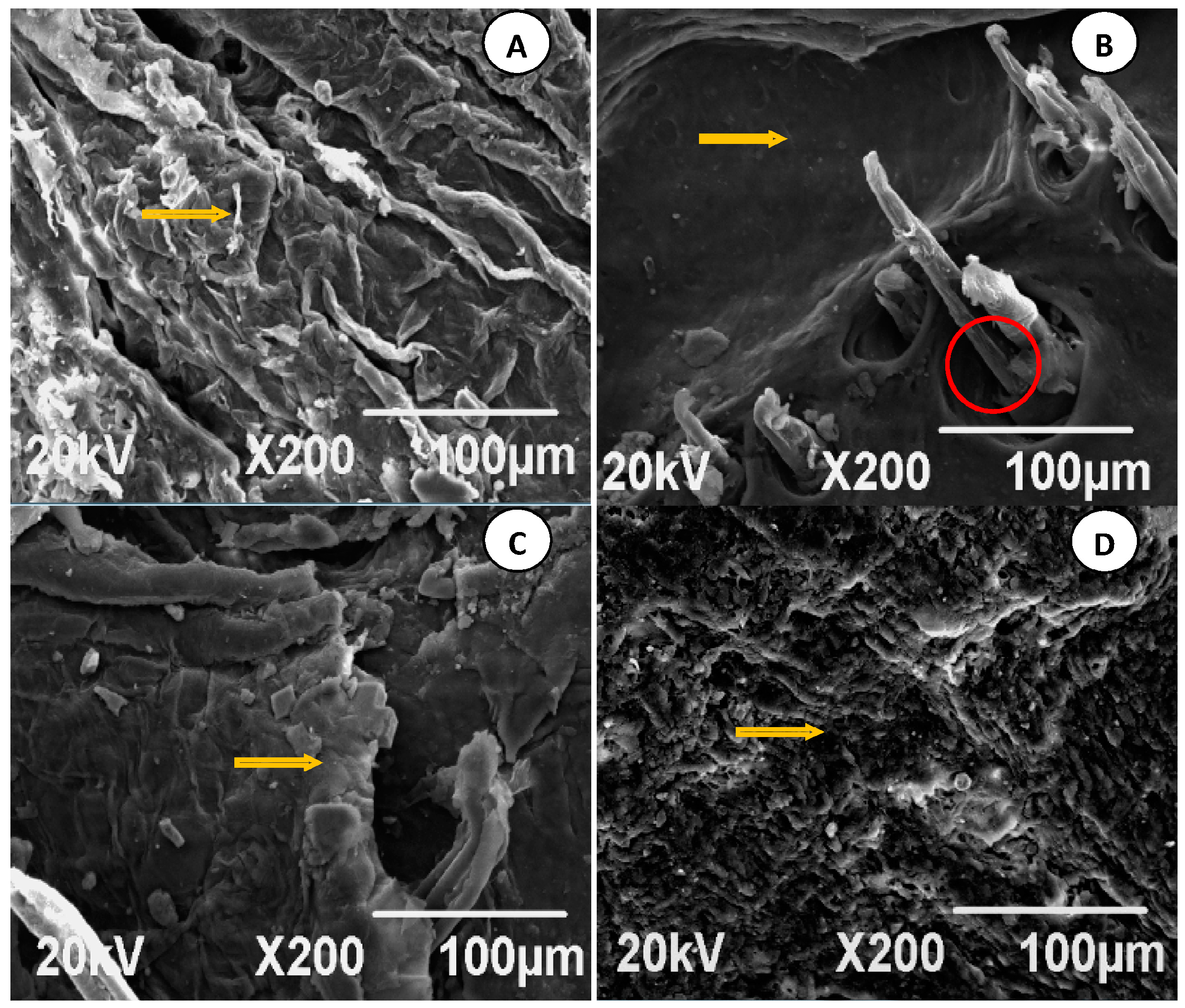 Molecules 22 00525 g011a