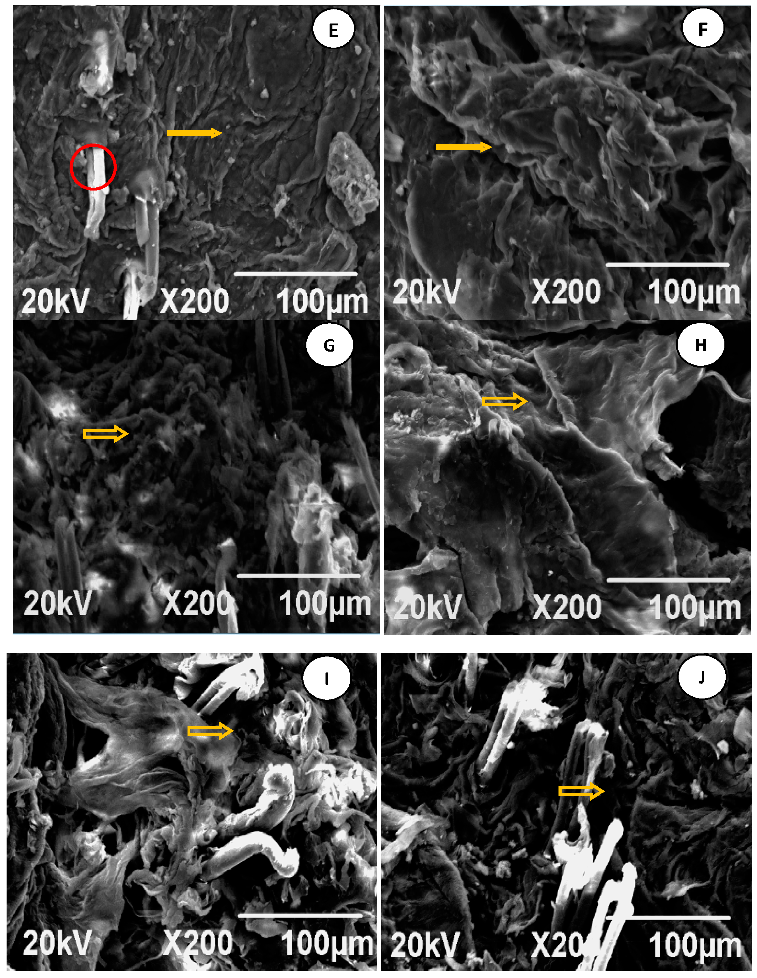 Molecules 22 00525 g011b