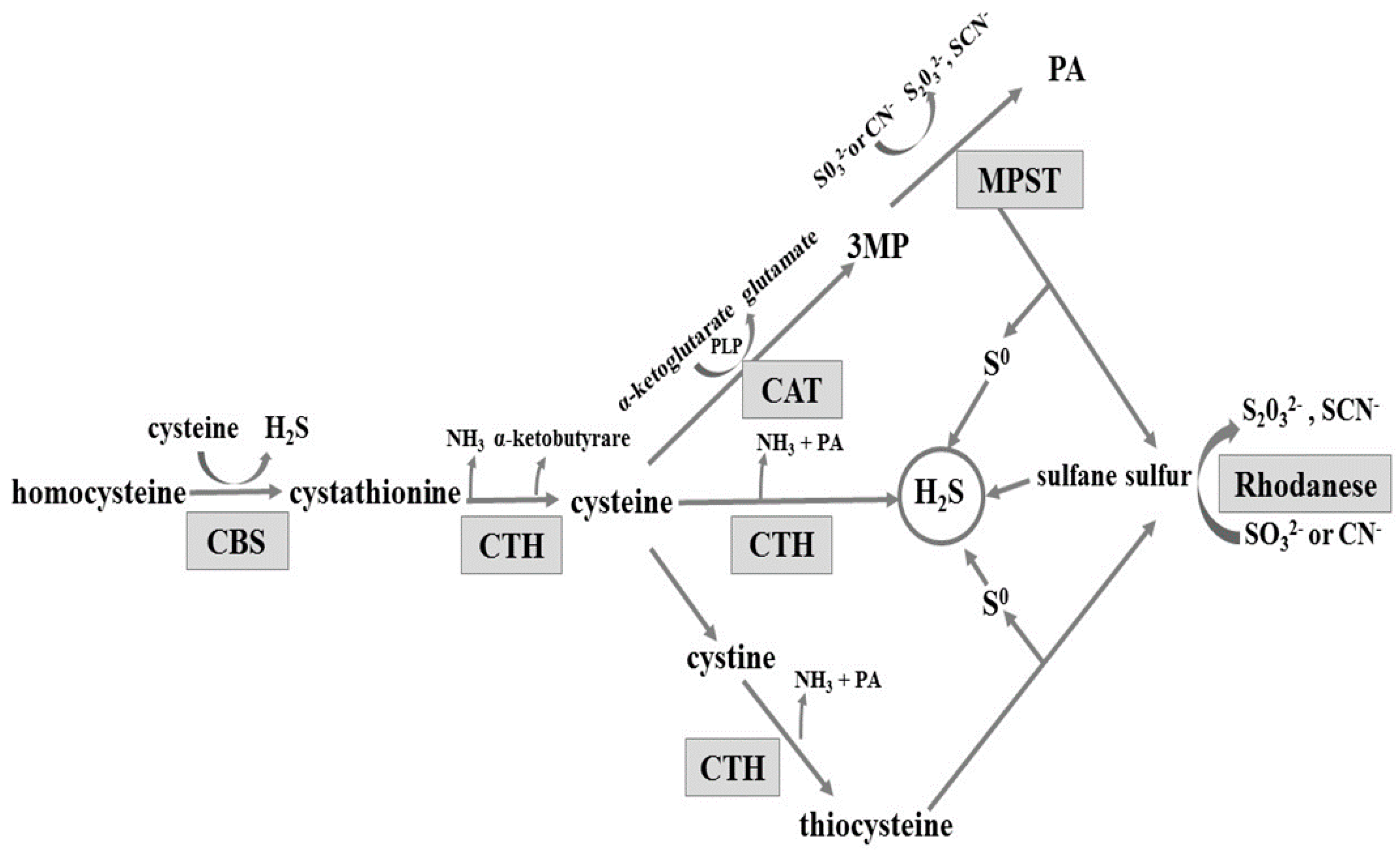 Molecules 22 00530 sch001