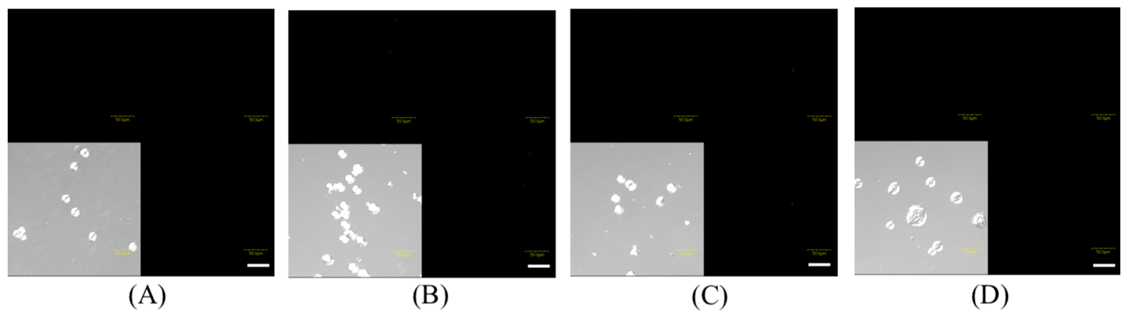 Molecules 22 00533 g004a