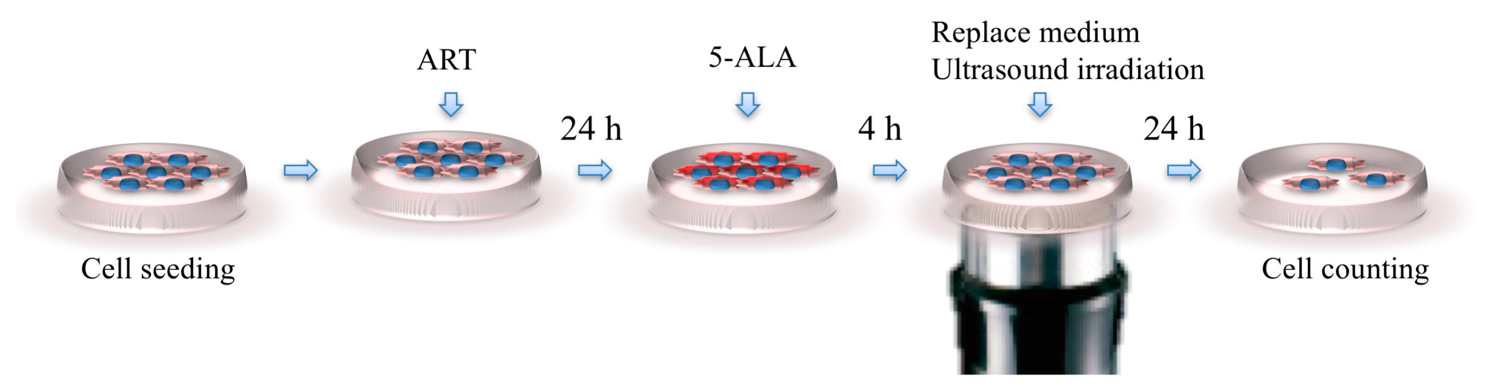 Molecules 22 00533 g007