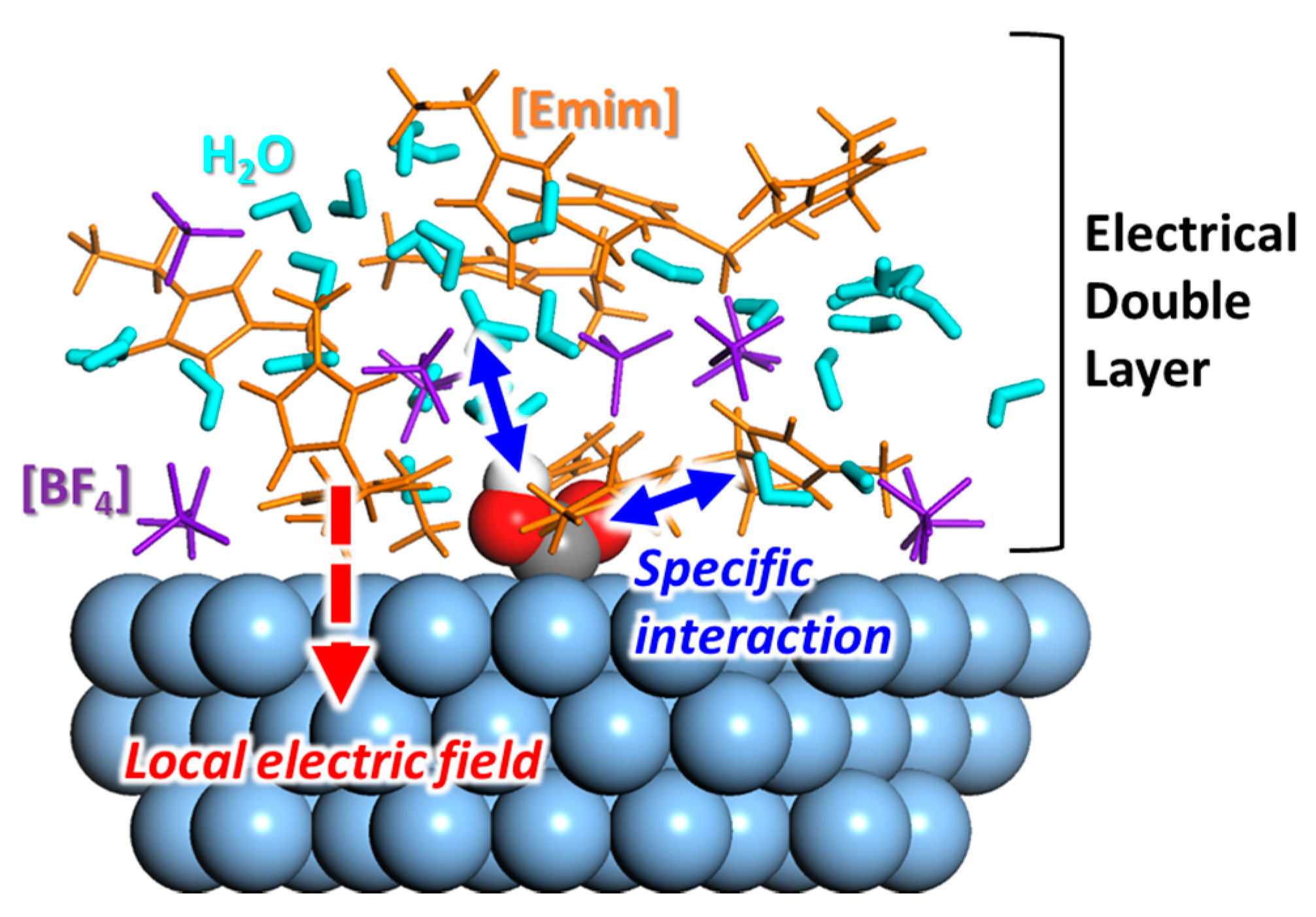 Molecules 22 00536 g012