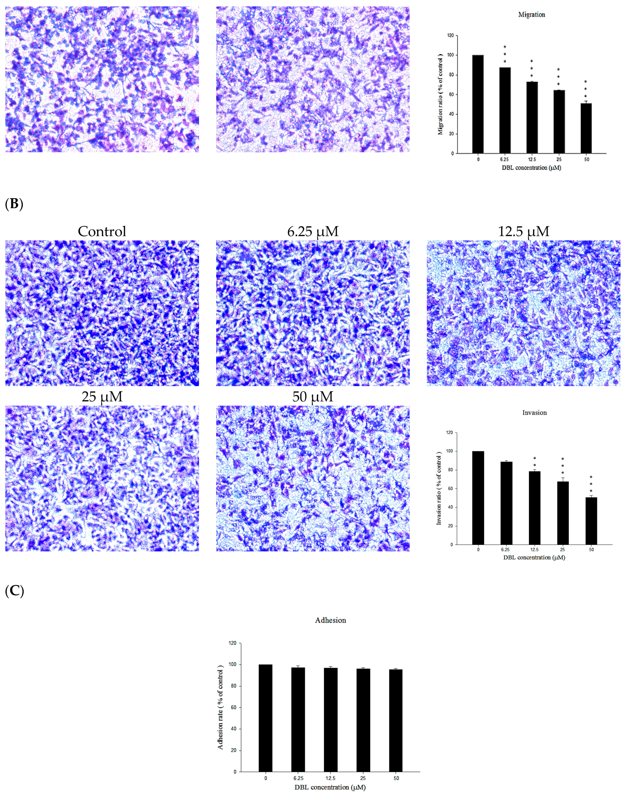 Molecules 22 00537 g002b