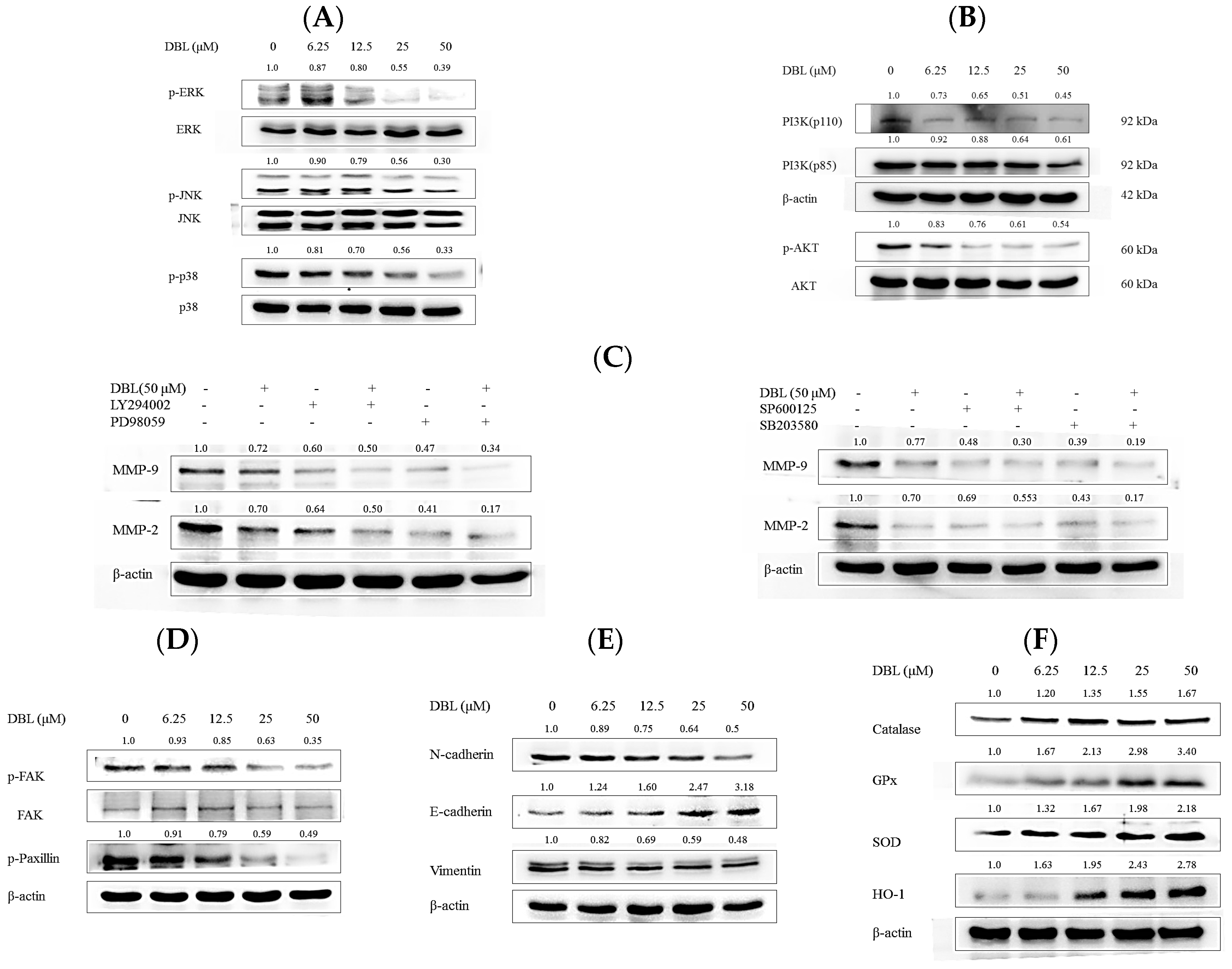 Molecules 22 00537 g004