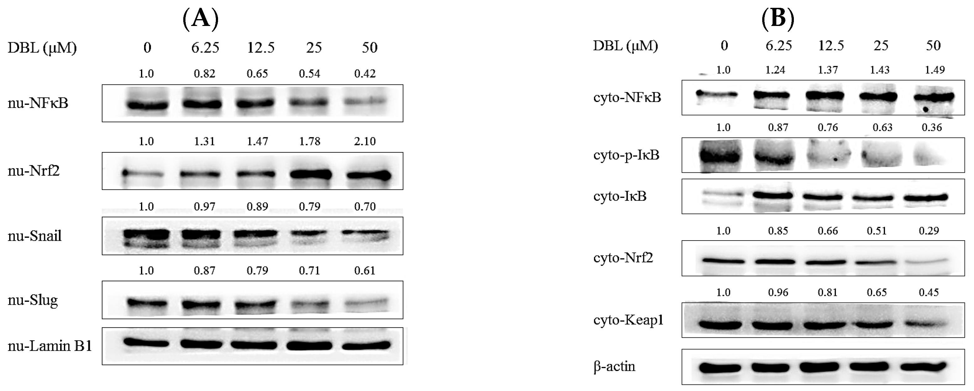 Molecules 22 00537 g005