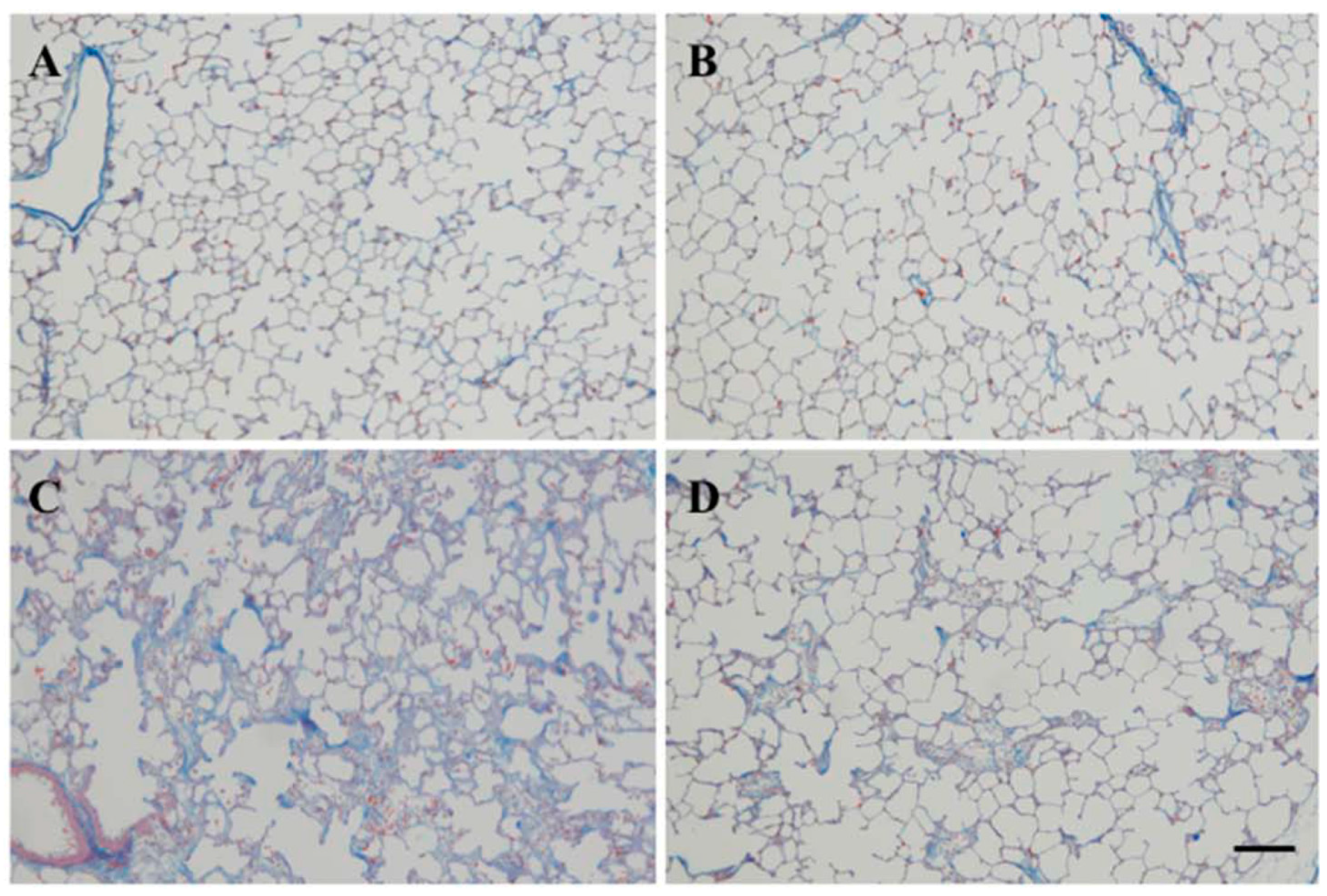 Molecules 22 00543 g002