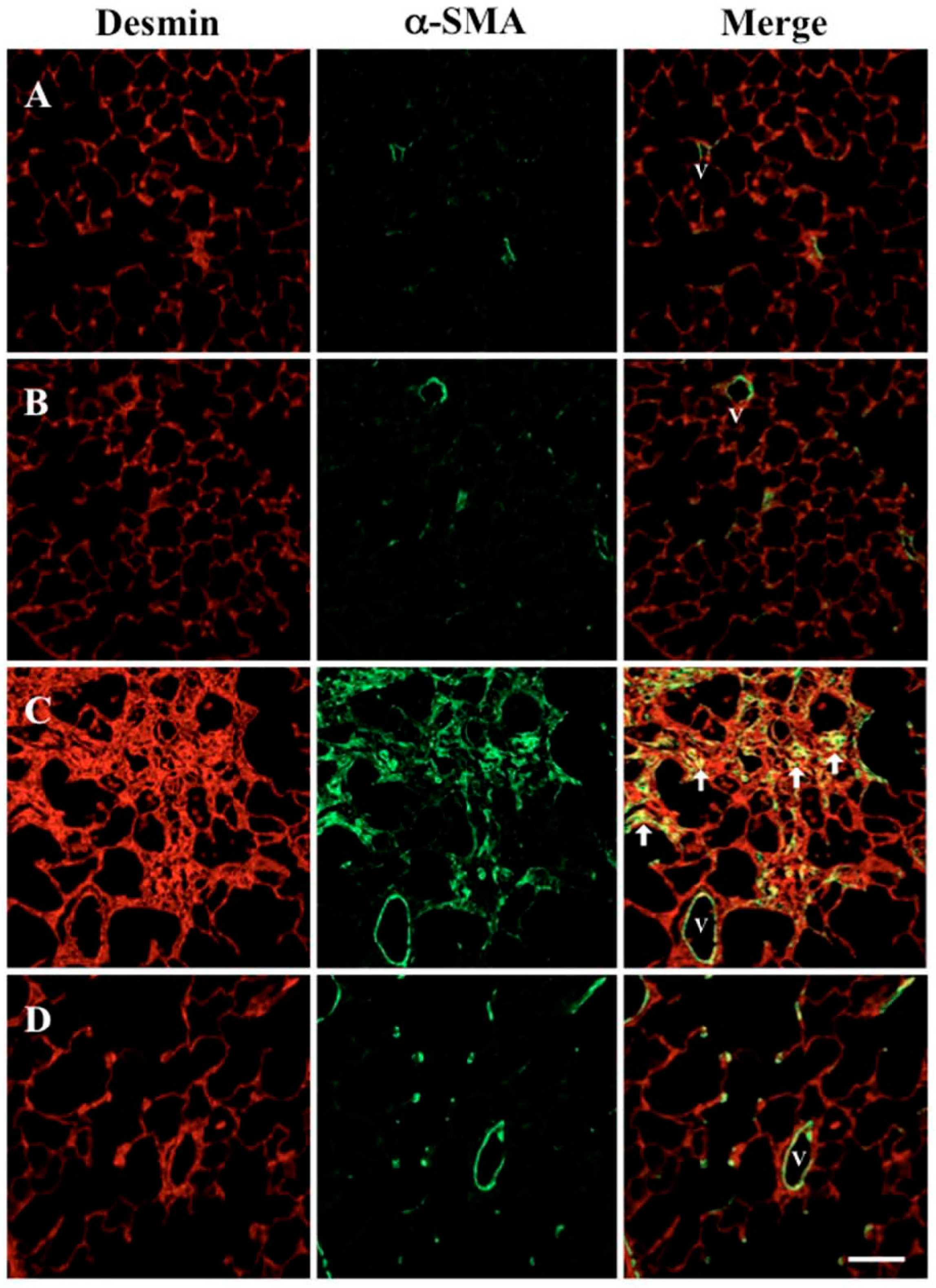 Molecules 22 00543 g005