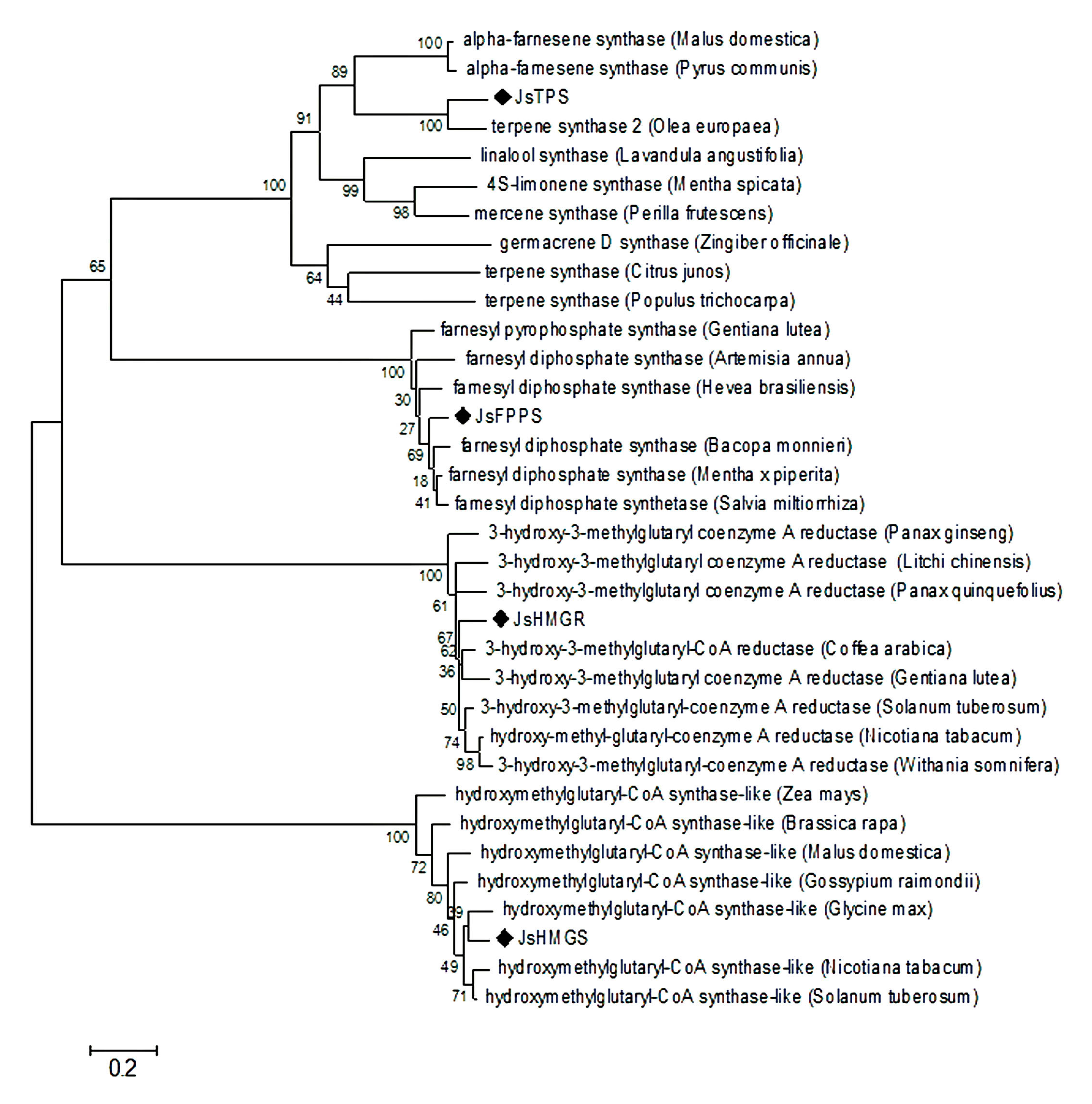 Molecules 22 00546 g003