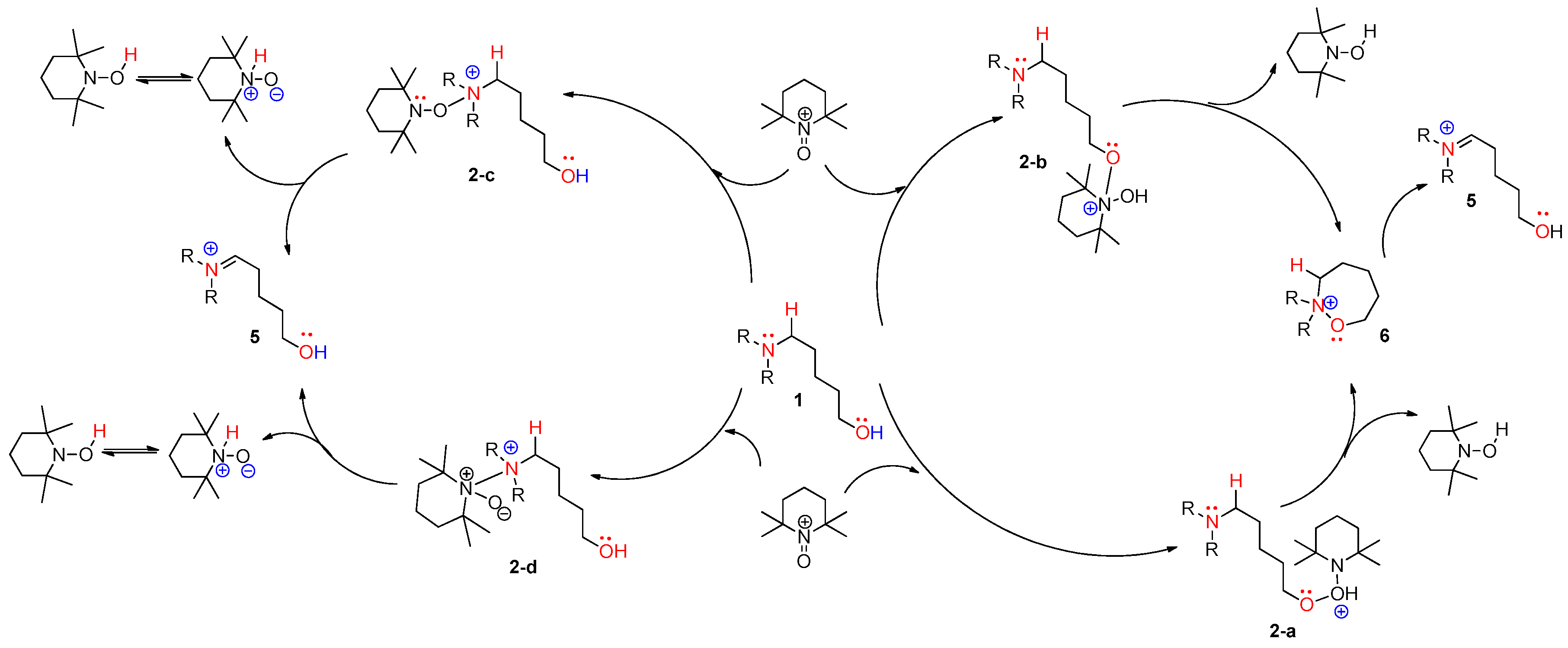 Molecules 22 00547 g004
