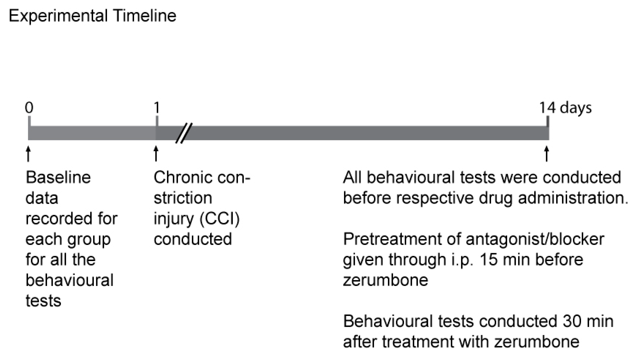 Molecules 22 00555 g008