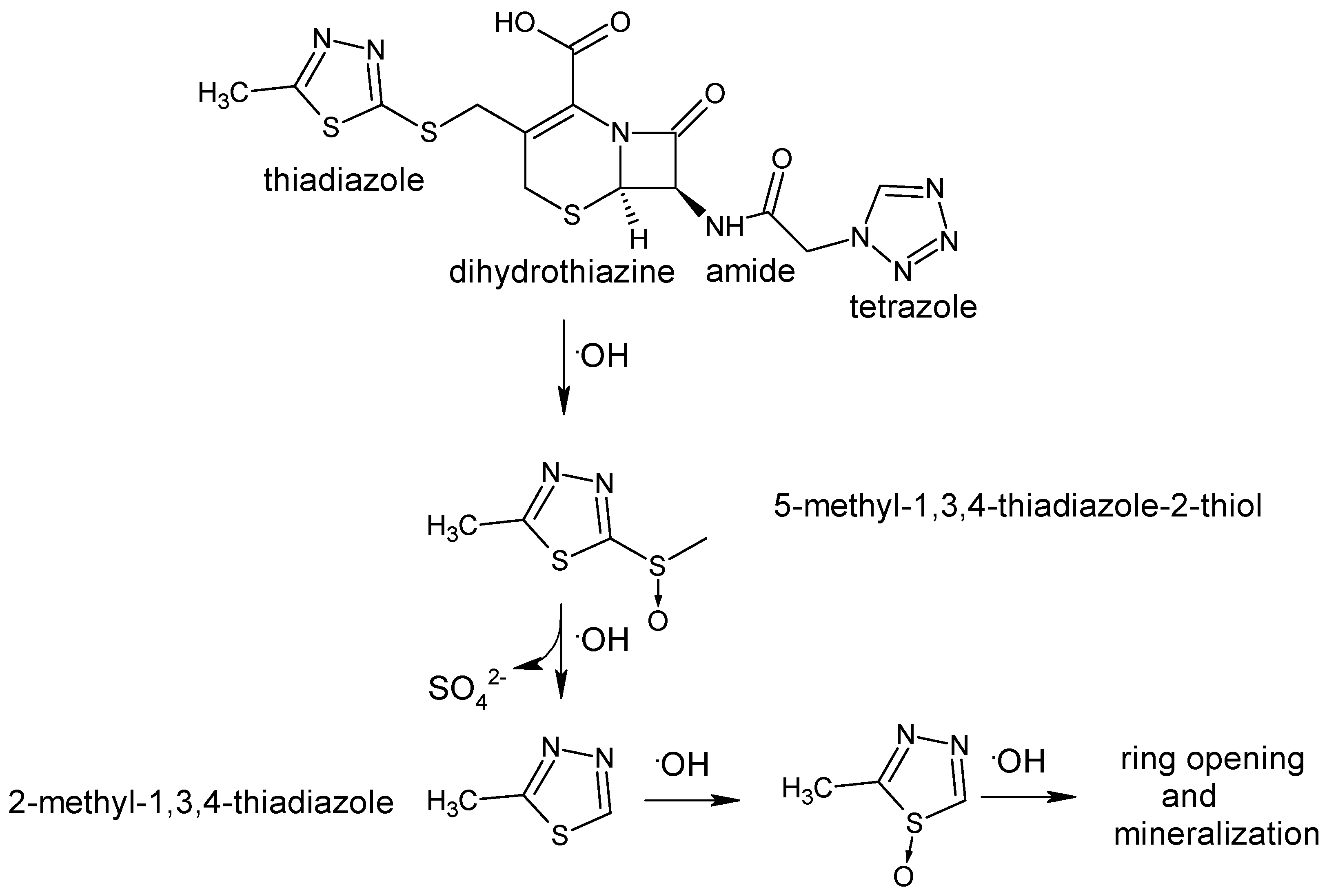 Molecules 22 00556 g004 Molecules 22 00556 g004