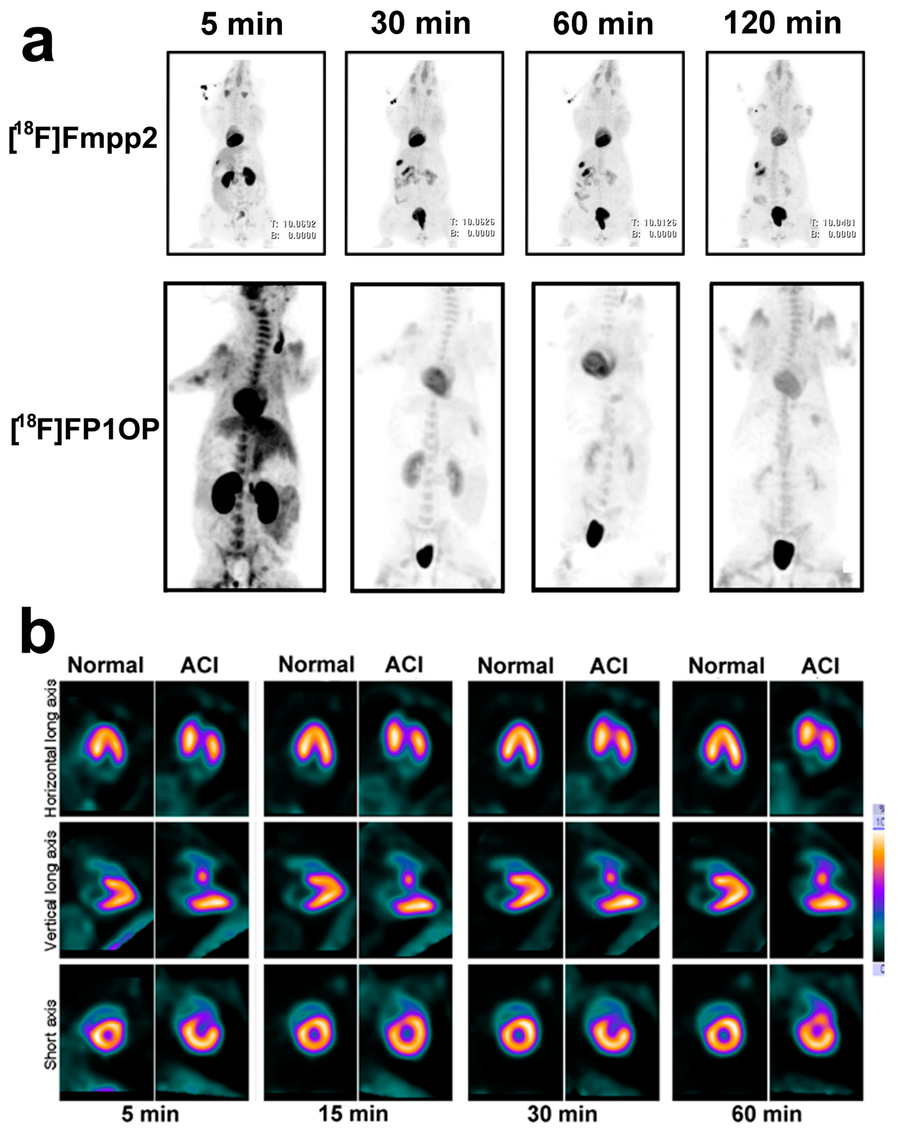Molecules 22 00562 g008