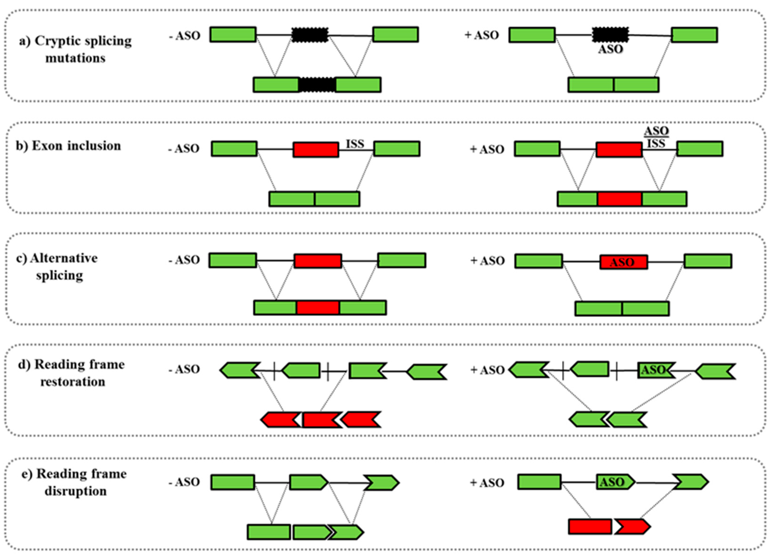 Molecules 22 00563 g002