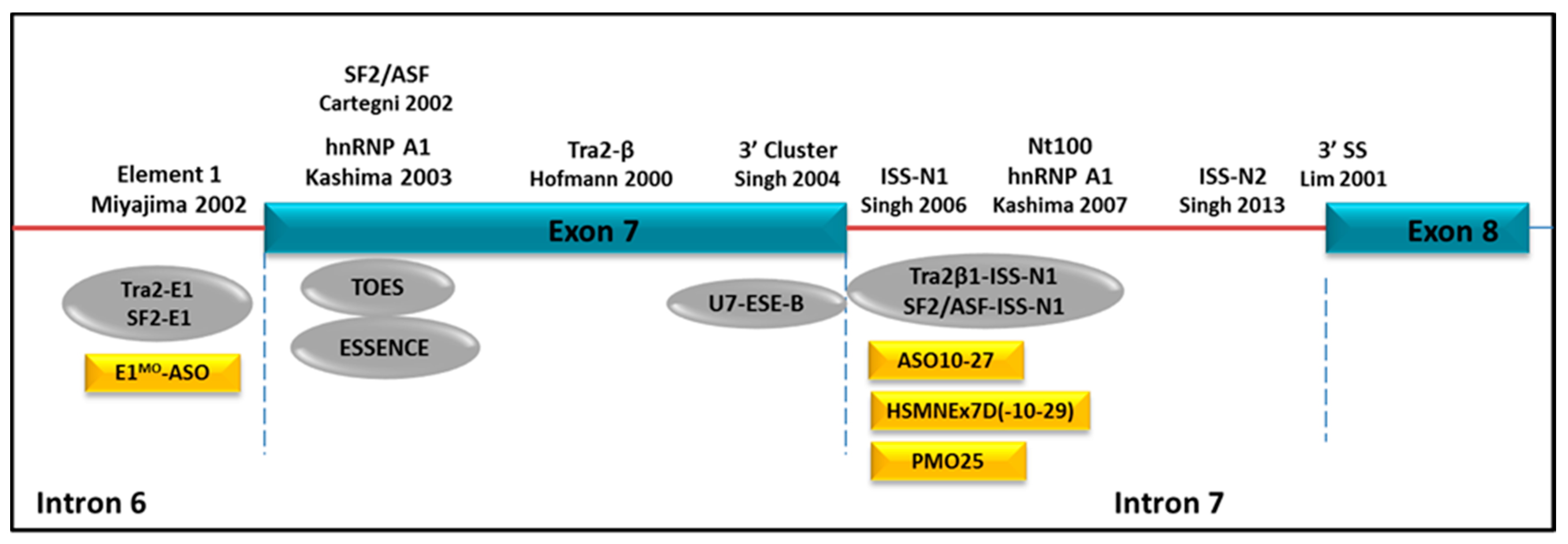 Molecules 22 00563 g004