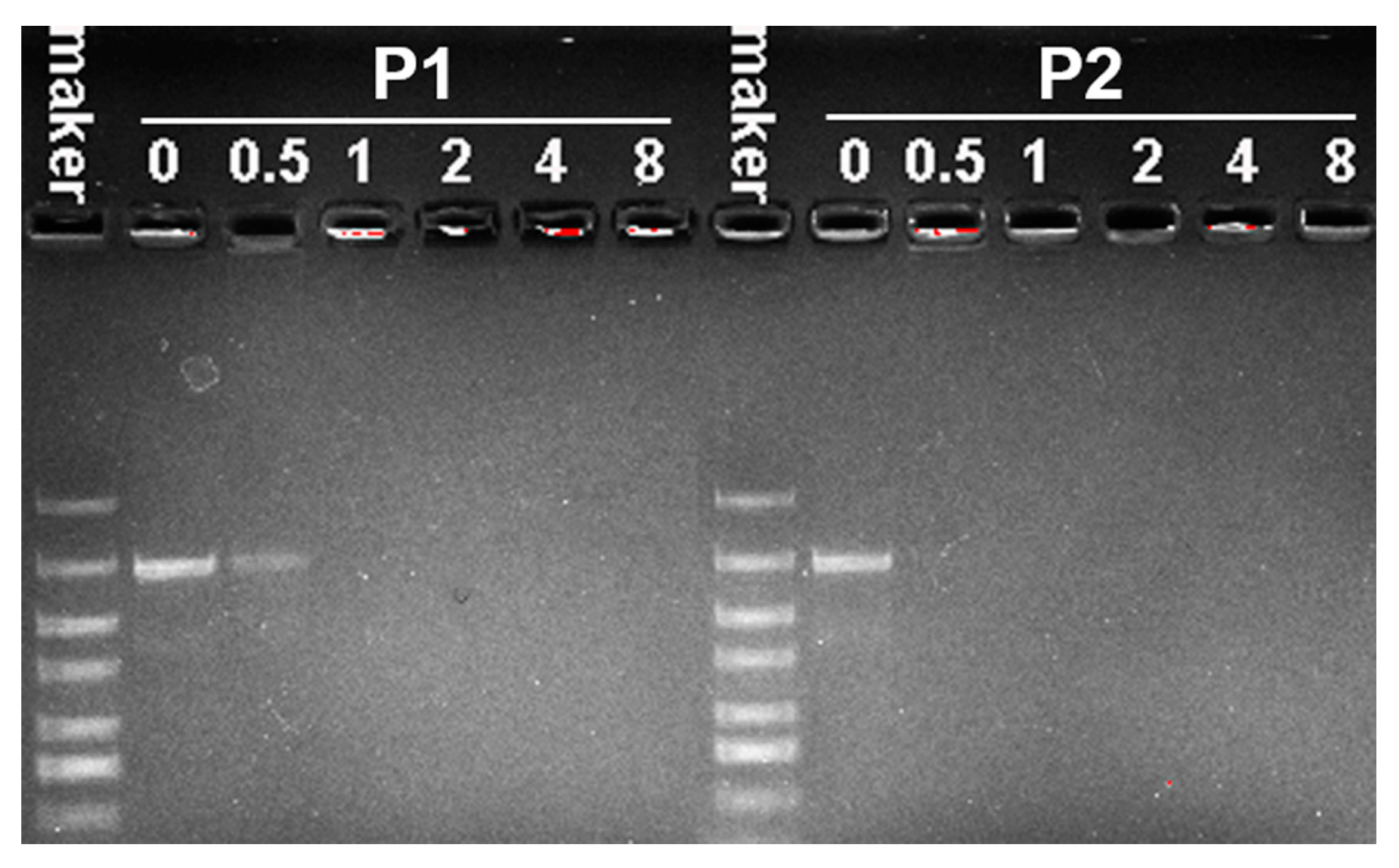 Molecules 22 00566 g001