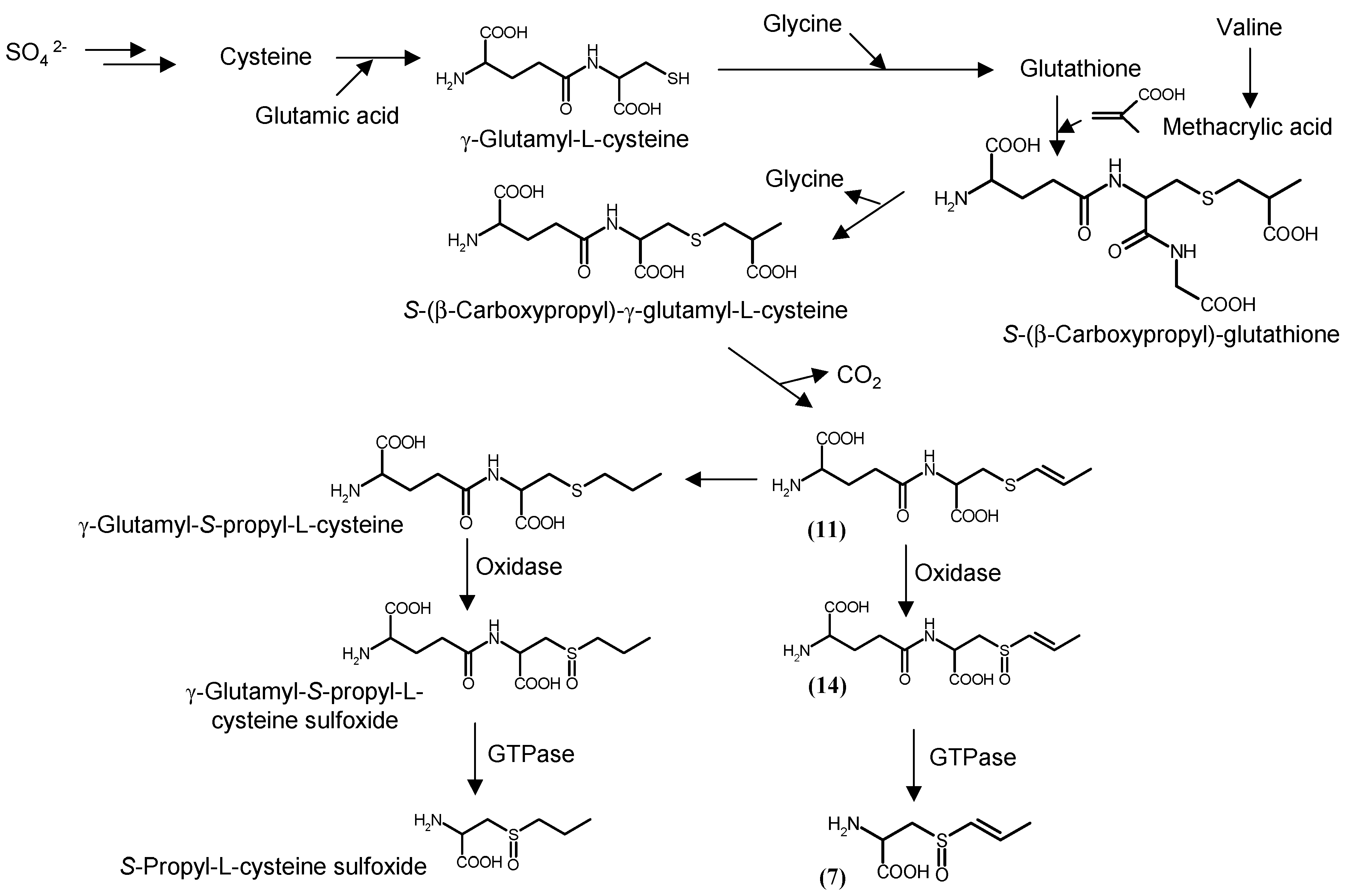 Molecules 22 00570 sch002