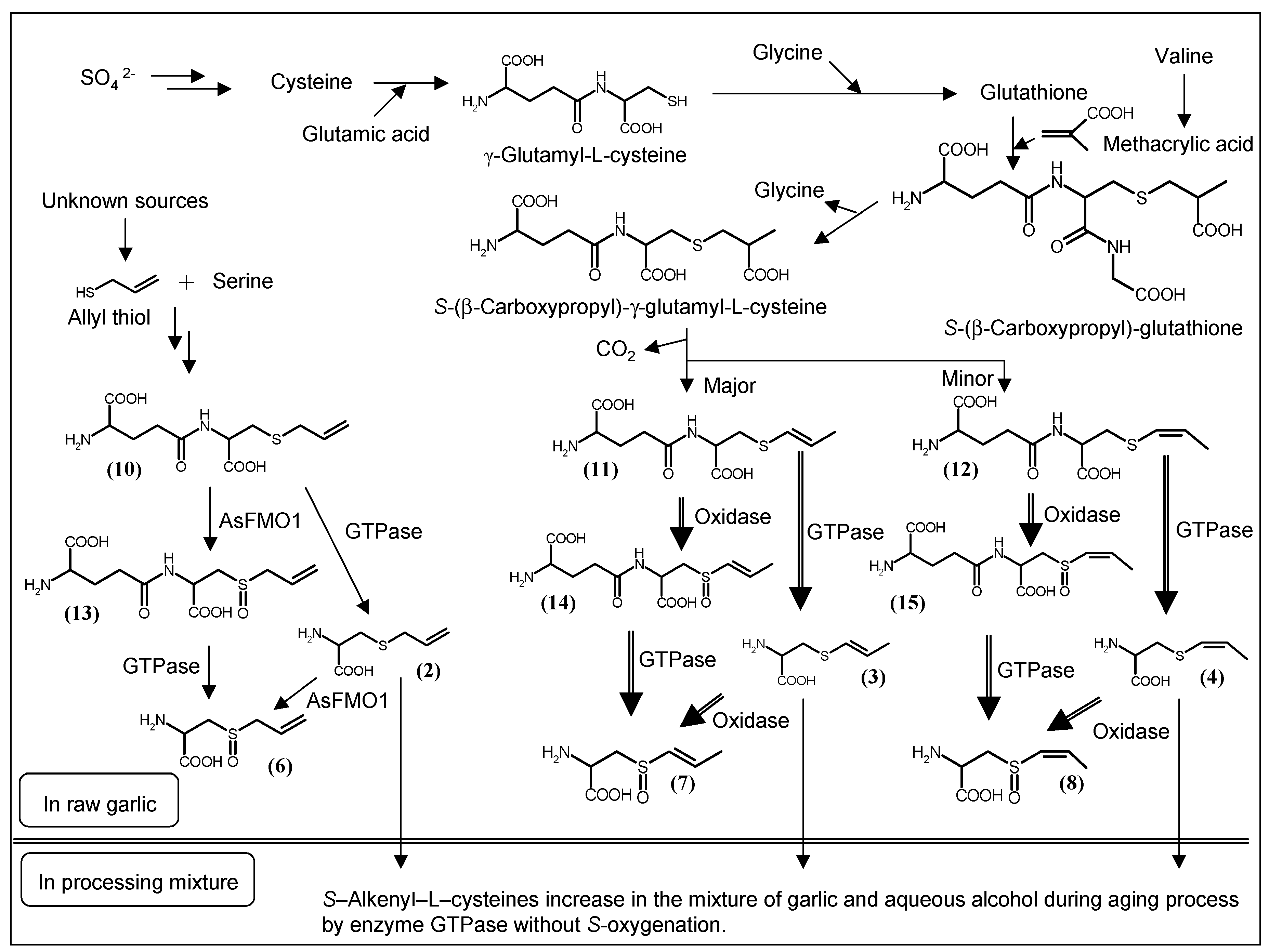 Molecules 22 00570 sch003