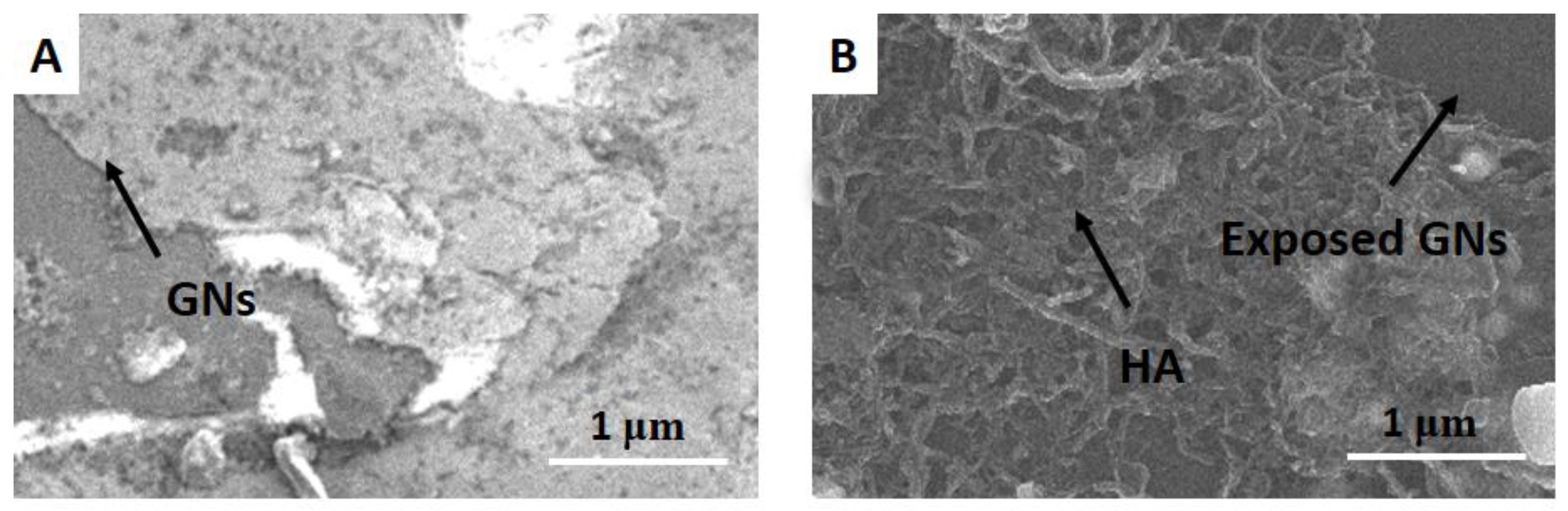Molecules 22 00575 g001