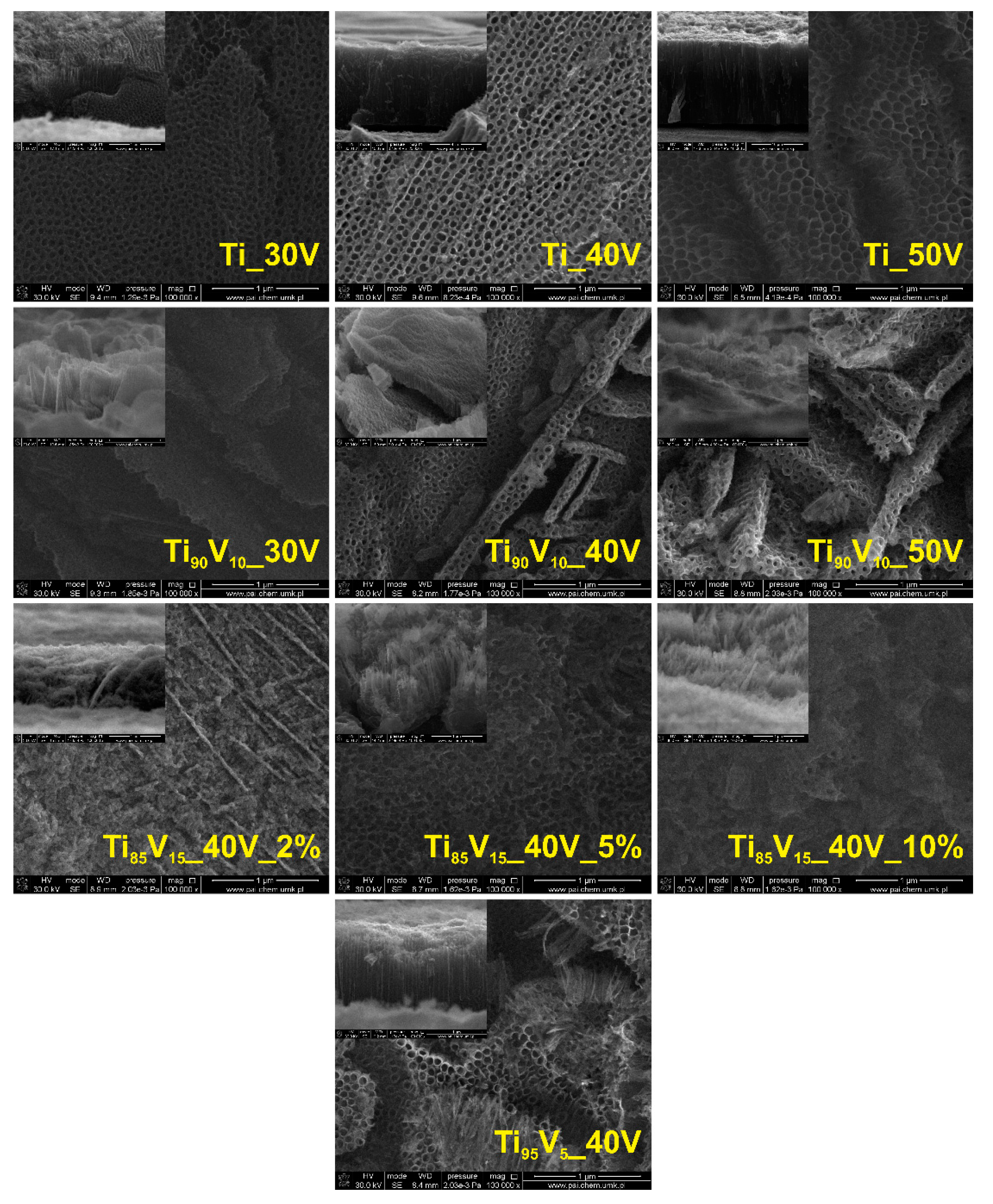 Molecules 22 00580 g001