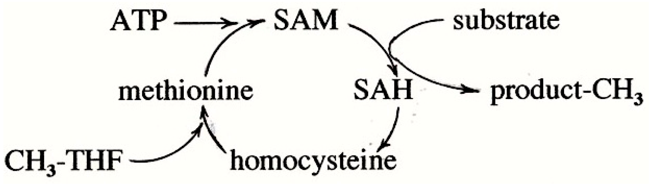 Molecules 22 00582 sch001