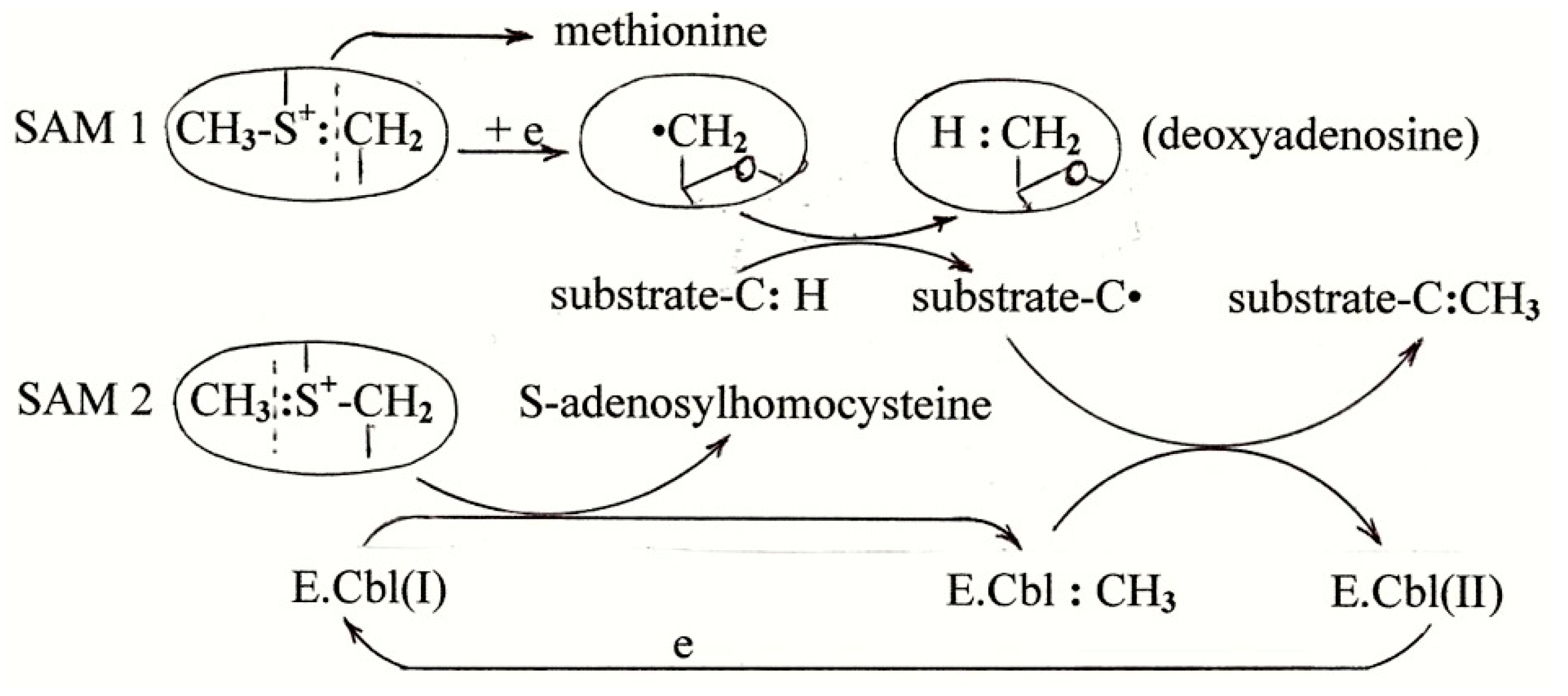 Molecules 22 00582 sch002