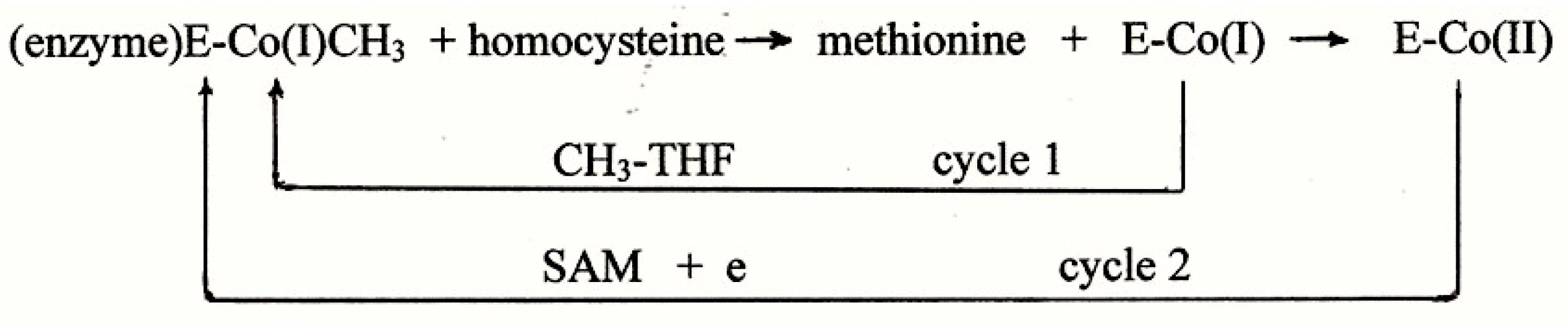 Molecules 22 00582 sch003