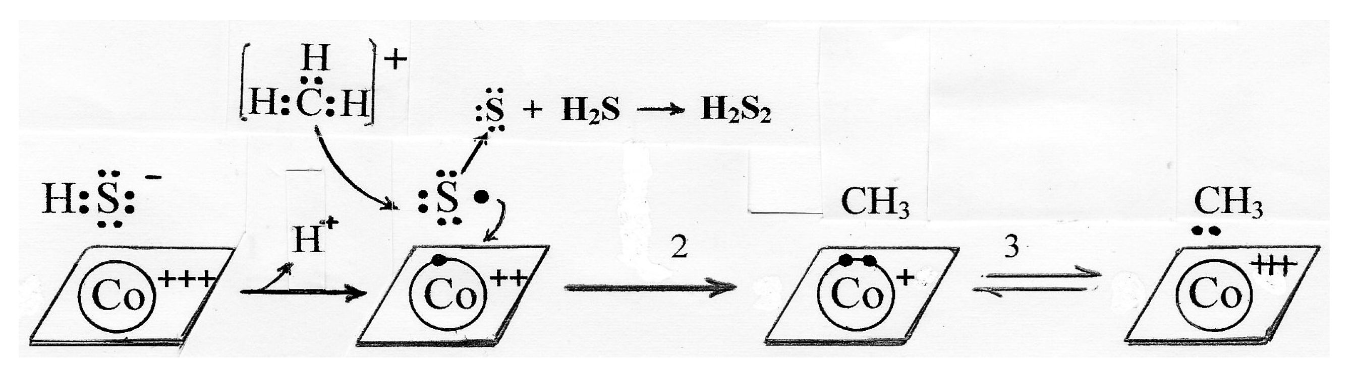 Molecules 22 00582 sch005