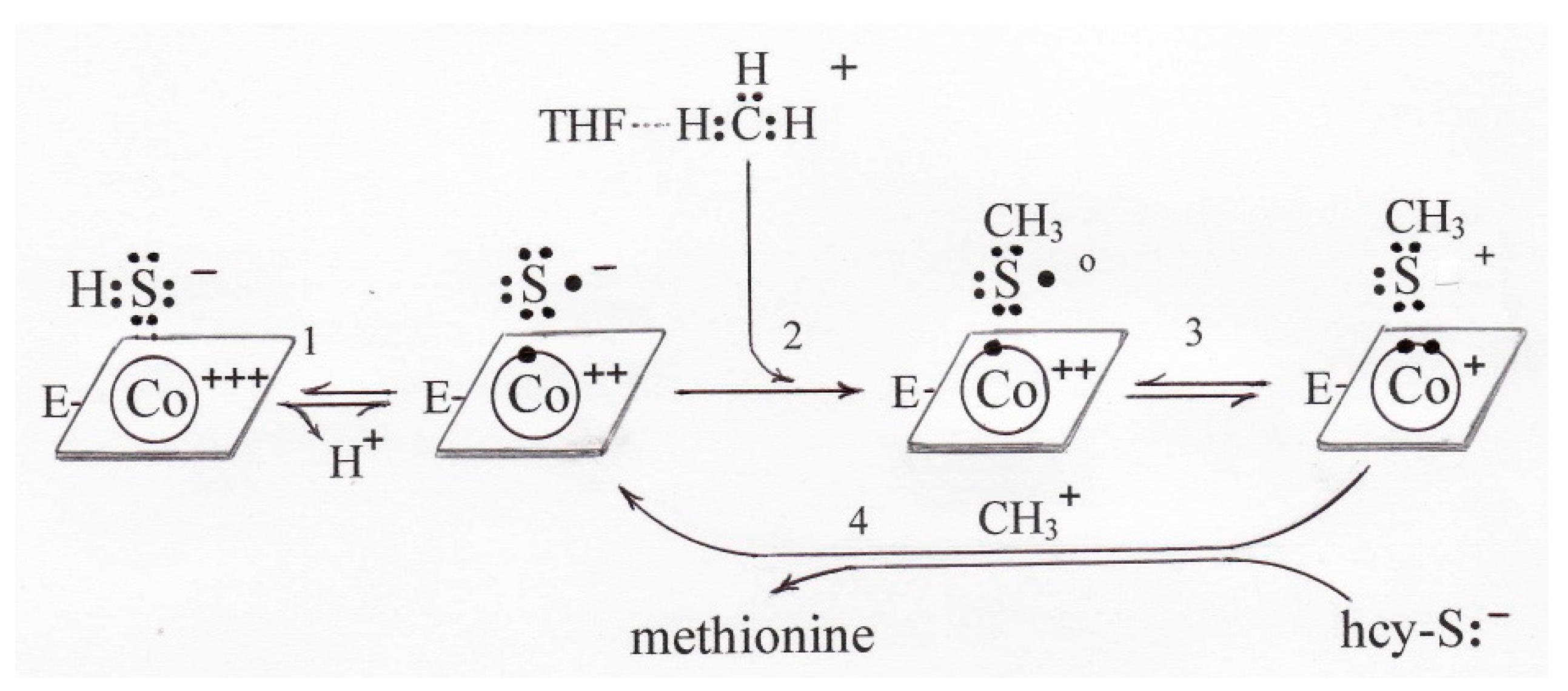 Molecules 22 00582 sch006