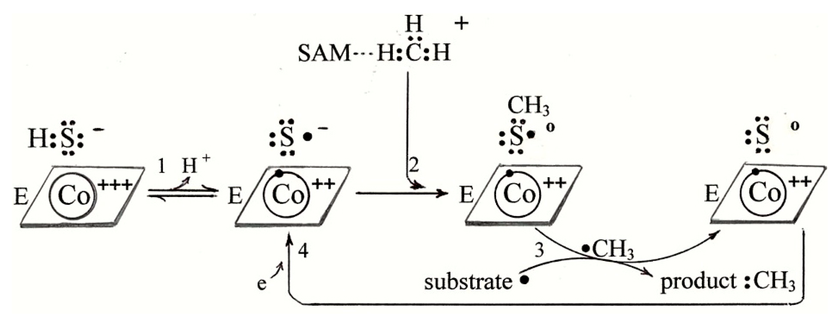 Molecules 22 00582 sch007