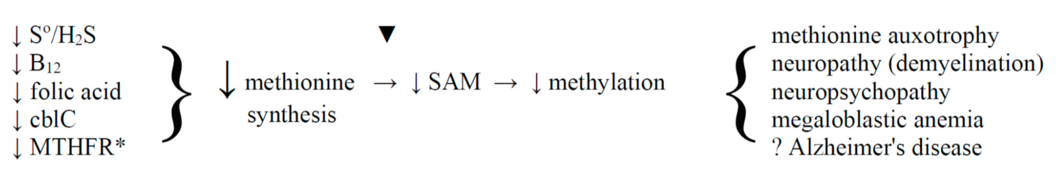 Molecules 22 00582 sch008