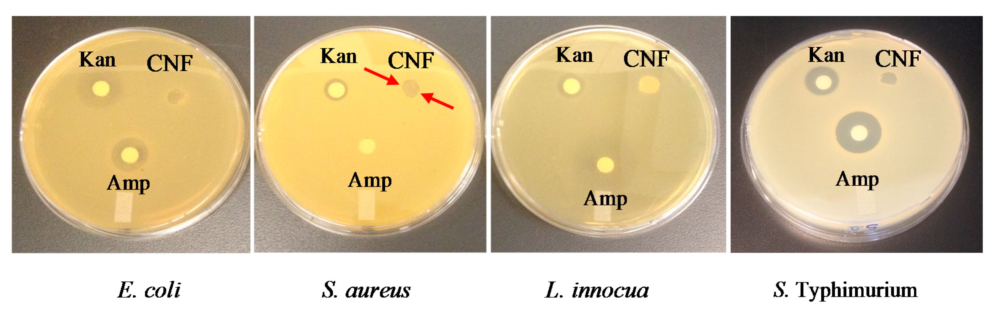 Molecules 22 00585 g006