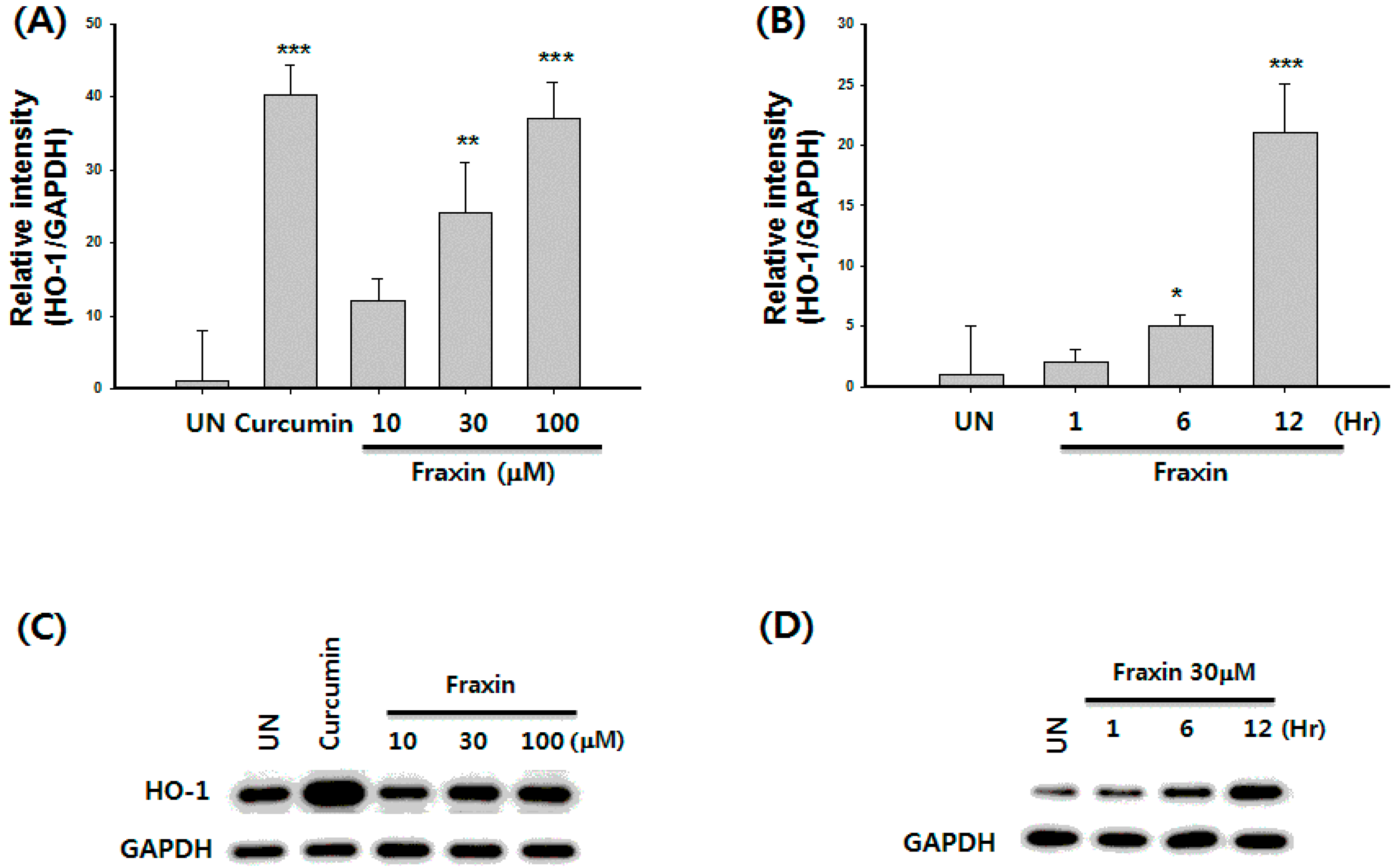 Molecules 22 00587 g008