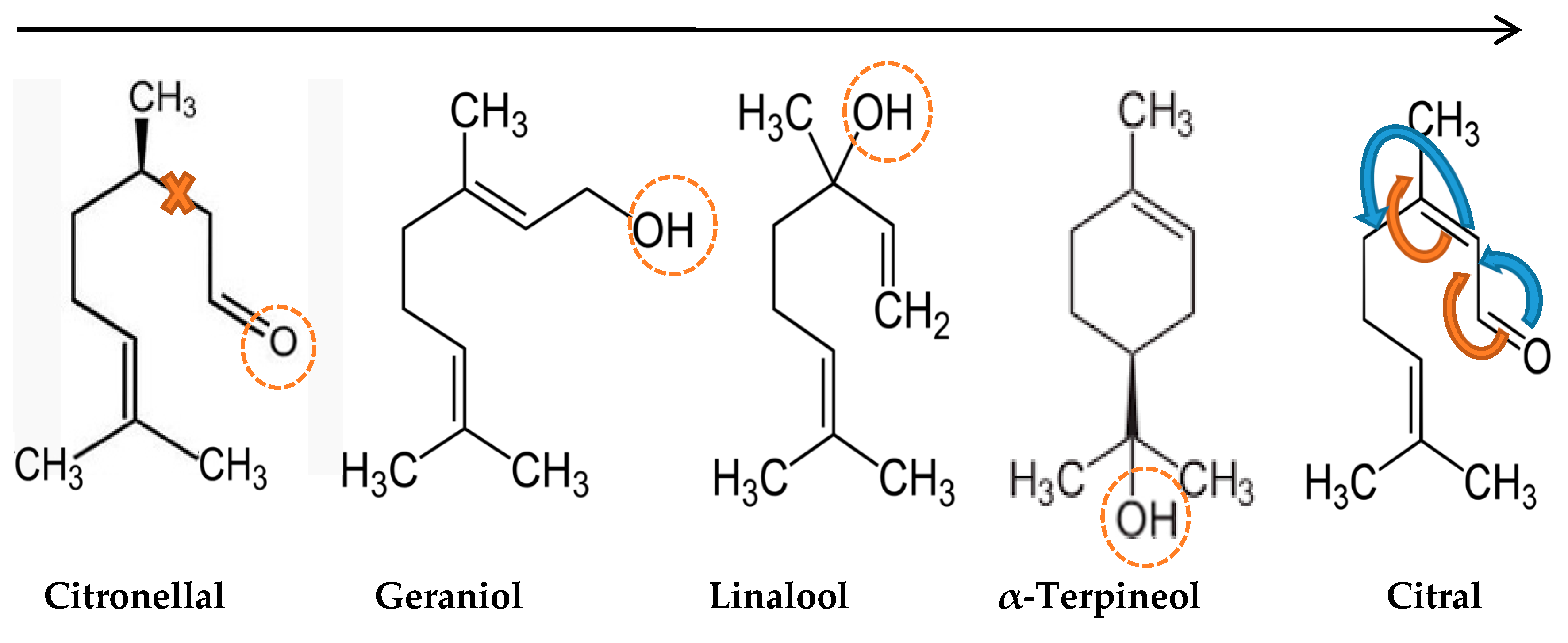 Molecules 22 00591 g004