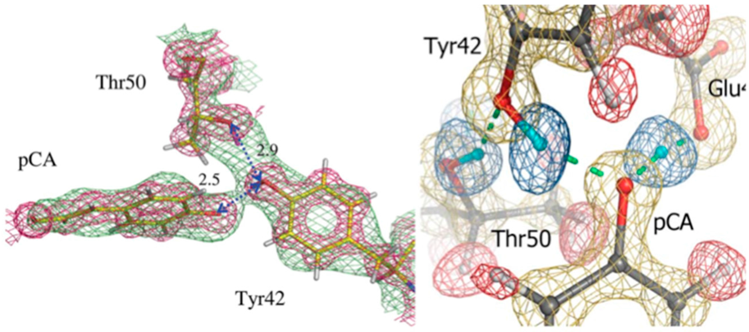 Molecules 22 00596 g005