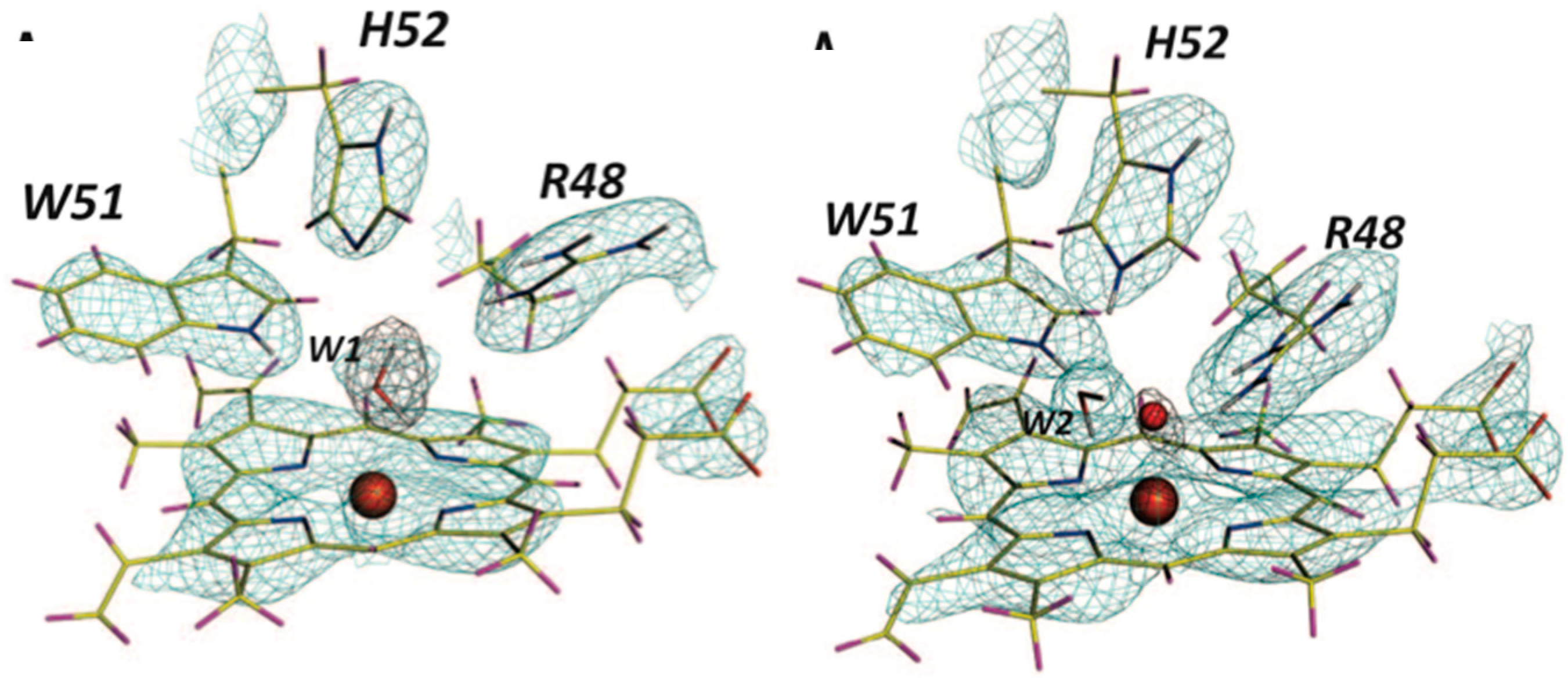 Molecules 22 00596 g009