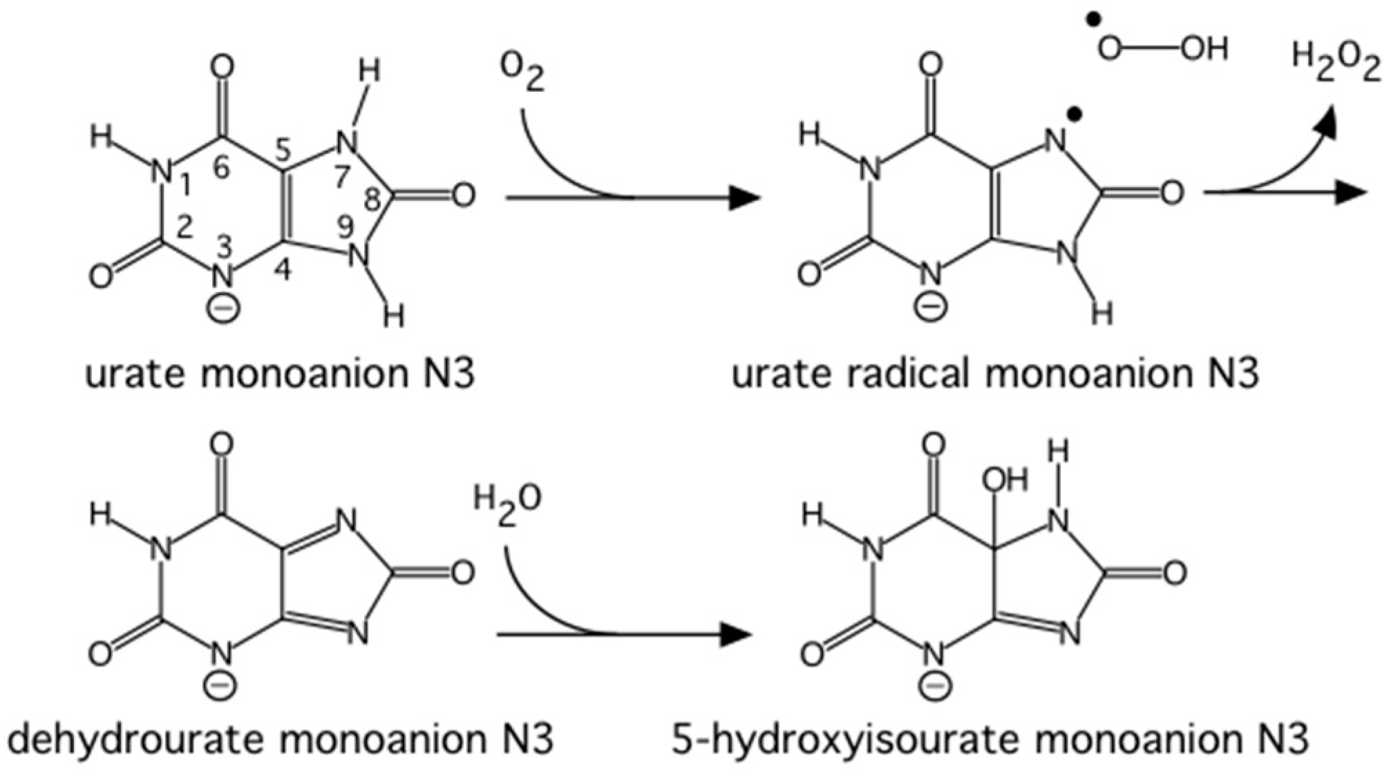 Molecules 22 00596 g010